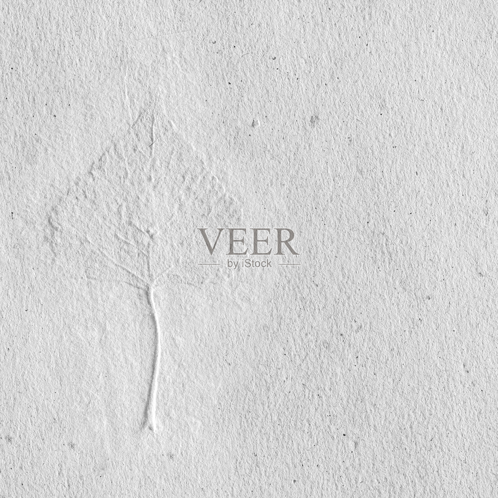 一片叶子夹在自制的纸里照片摄影图片