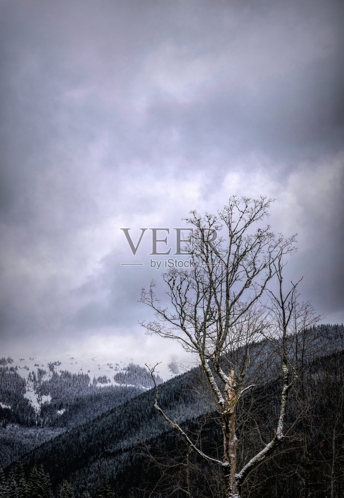 冬季，东欧喀尔巴阡山脉阴云密布照片摄影图片