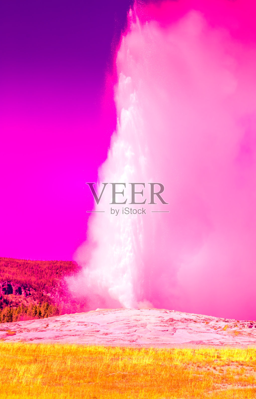 老忠实间歇泉，黄石国家公园照片摄影图片