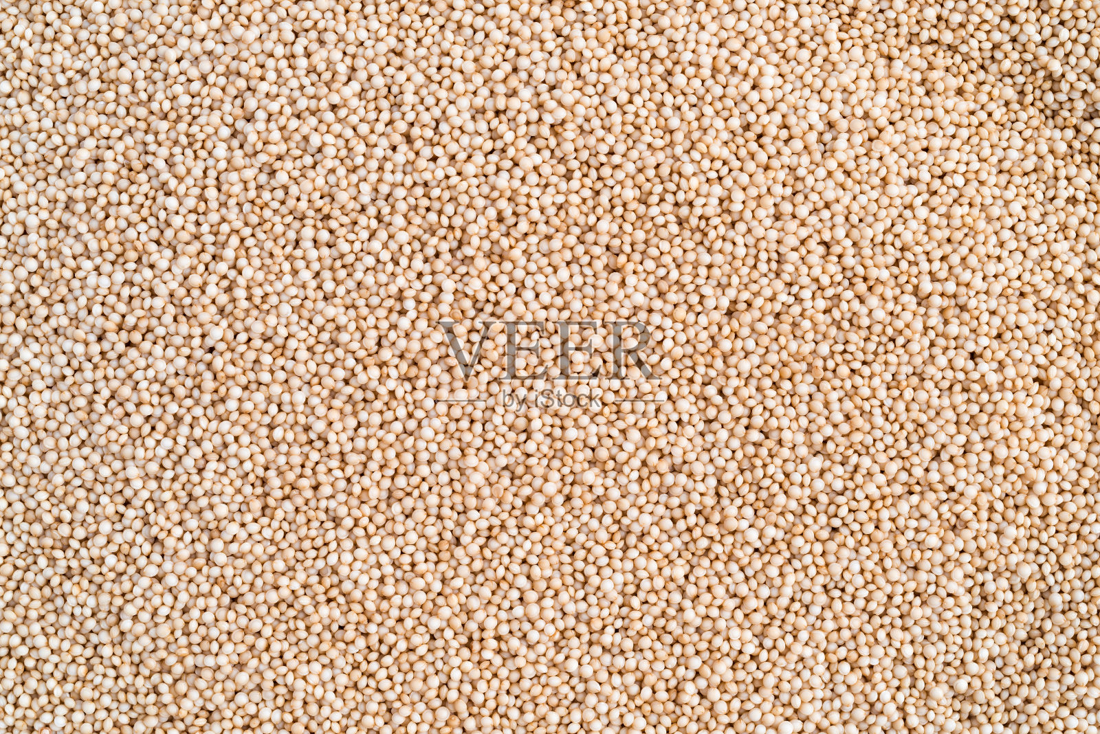 近距离观察微小的有机苋菜种子照片摄影图片