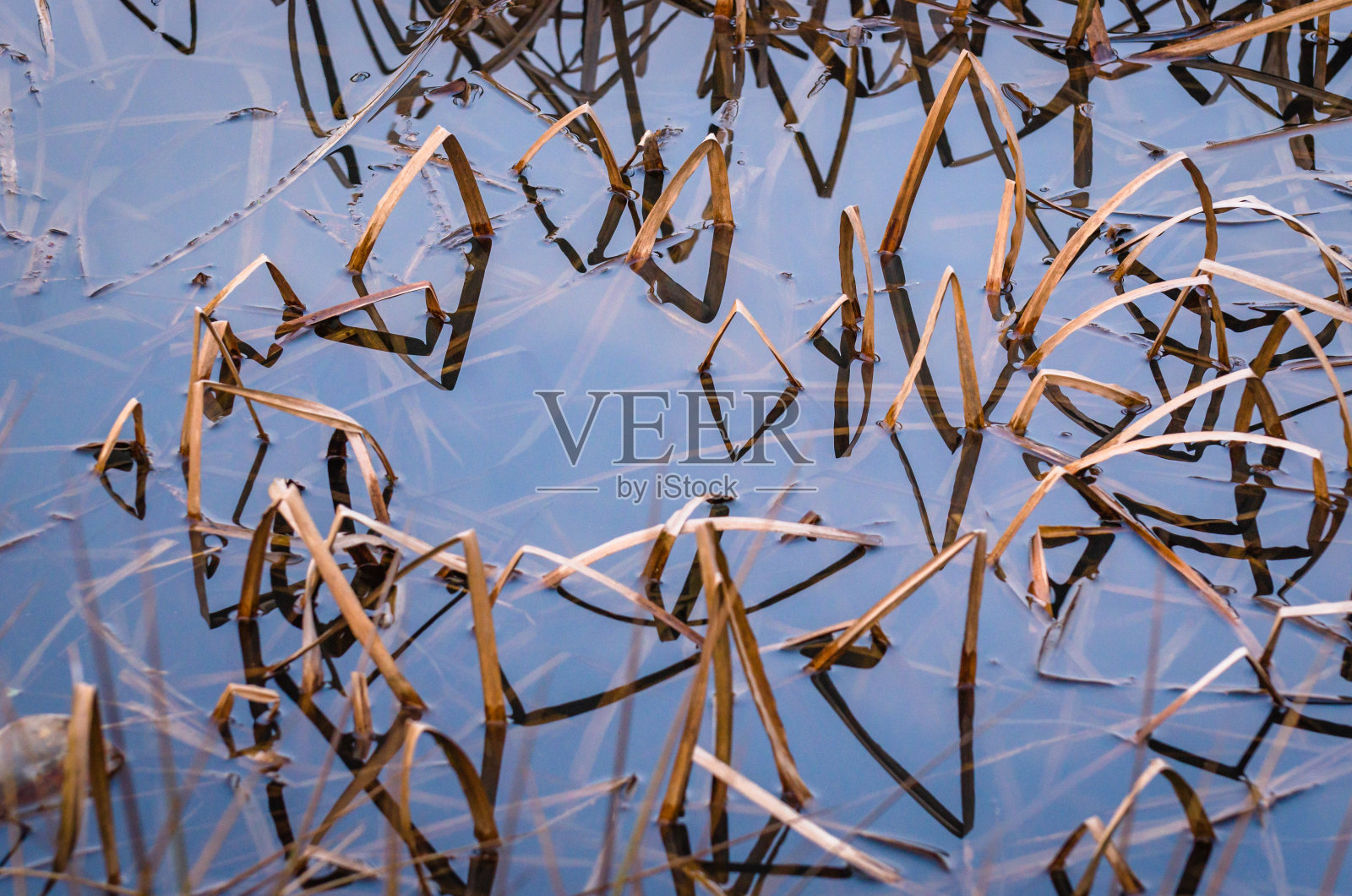 奇特的反射模式照片摄影图片