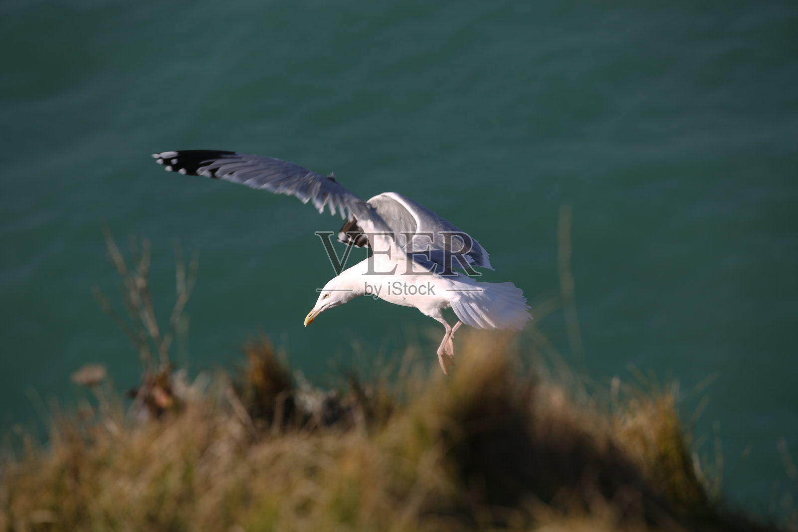 风景的诺曼底照片摄影图片