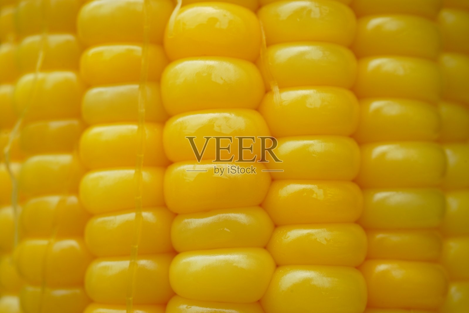 甜玉米的背景照片摄影图片