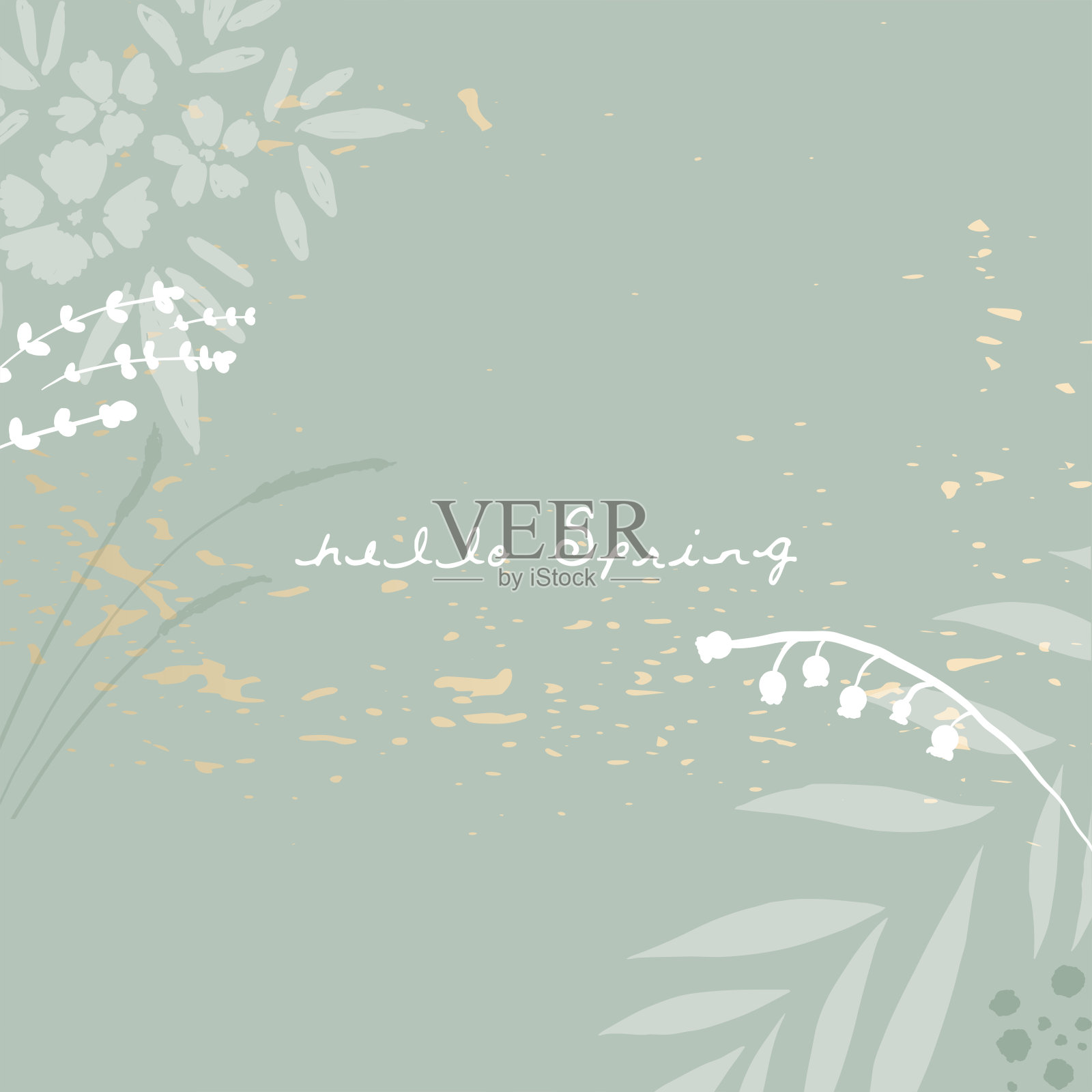 春季花卉植物格局插画图片素材