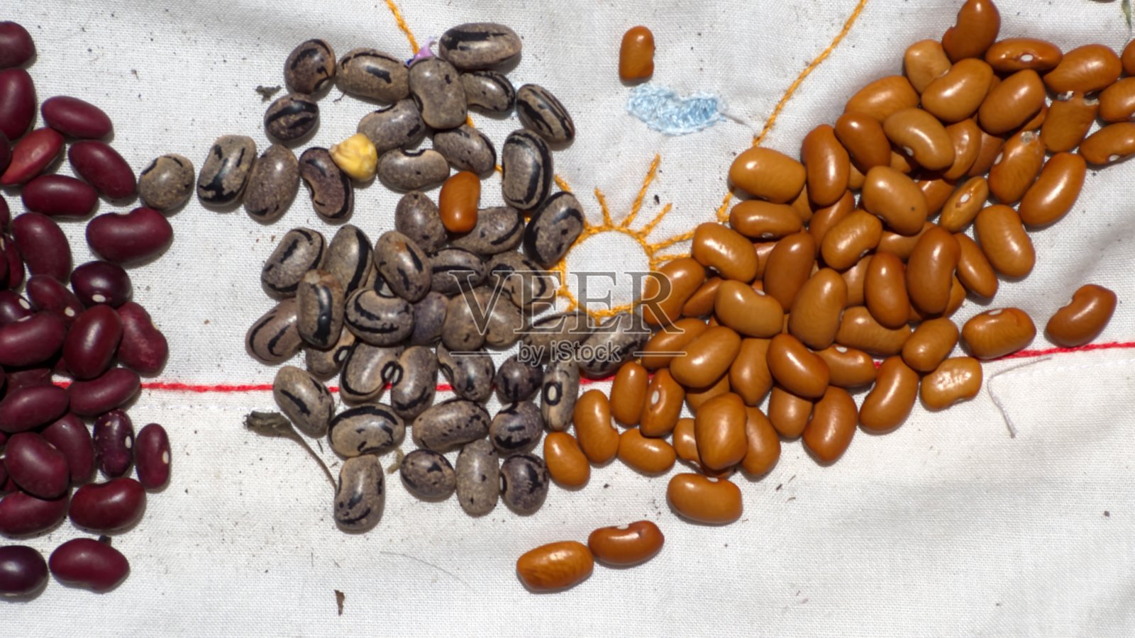 一堆堆五颜六色的干豆子照片摄影图片