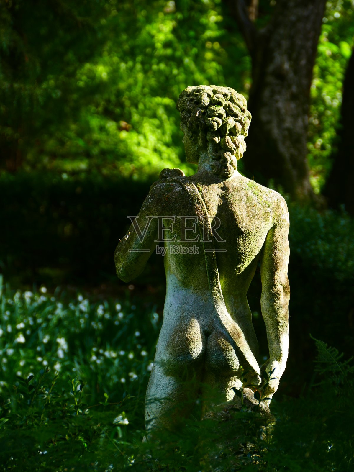 圣母山，花园，曼顿，海上阿尔卑斯山照片摄影图片