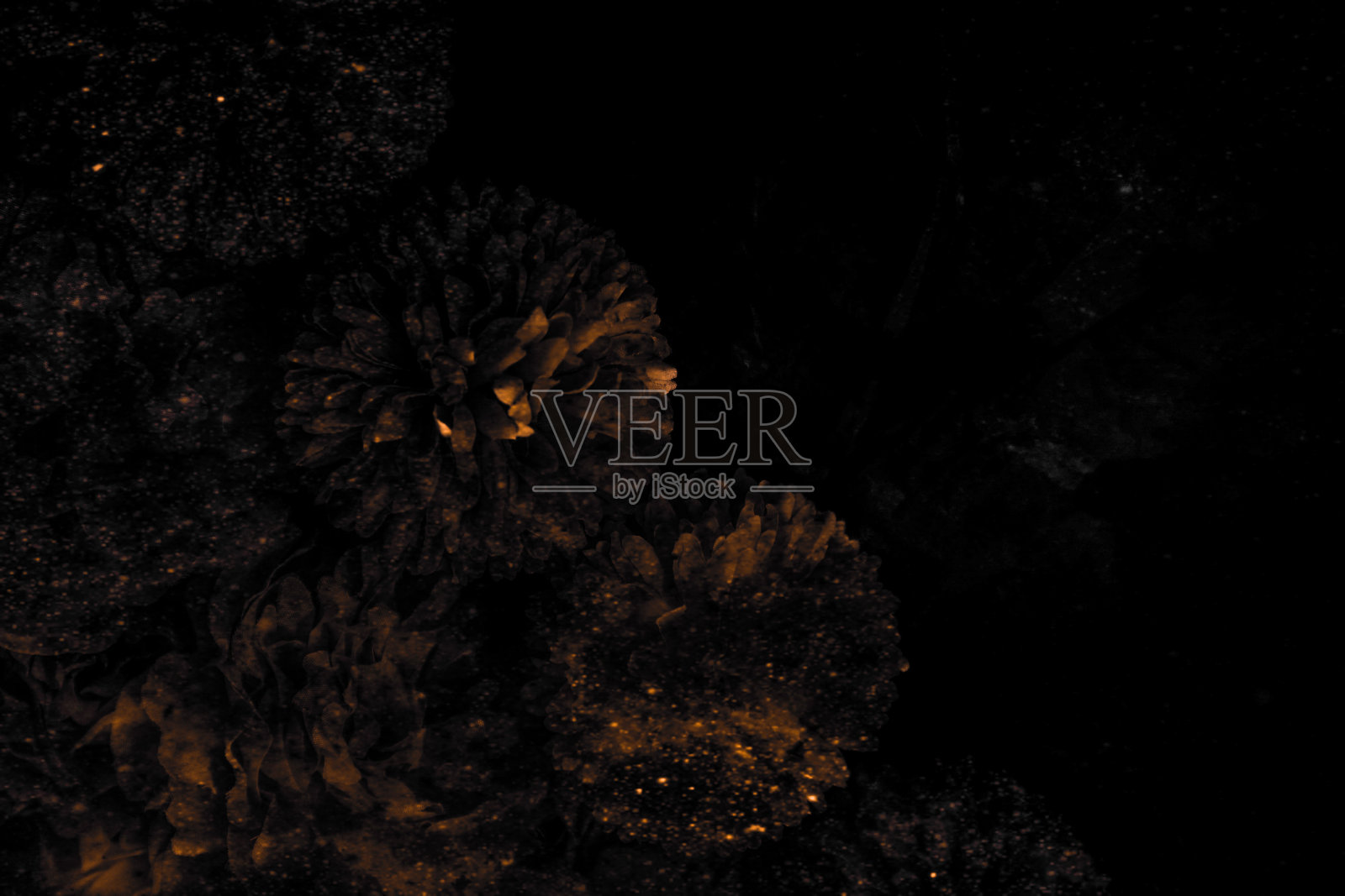 美丽抽象的颜色黑色和黄色的花朵图形上的黑色背景和金色的花框架和棕色的叶子纹理，黑色的背景，橙色和金色爱旗帜照片摄影图片