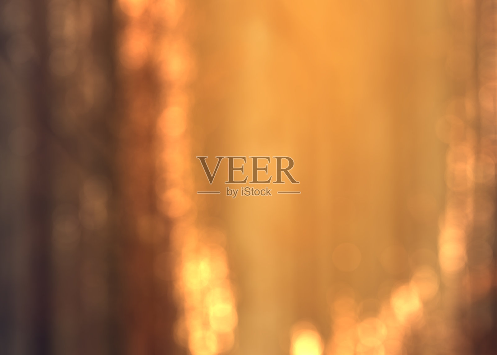 抽象的散景灯光背景插图照片摄影图片