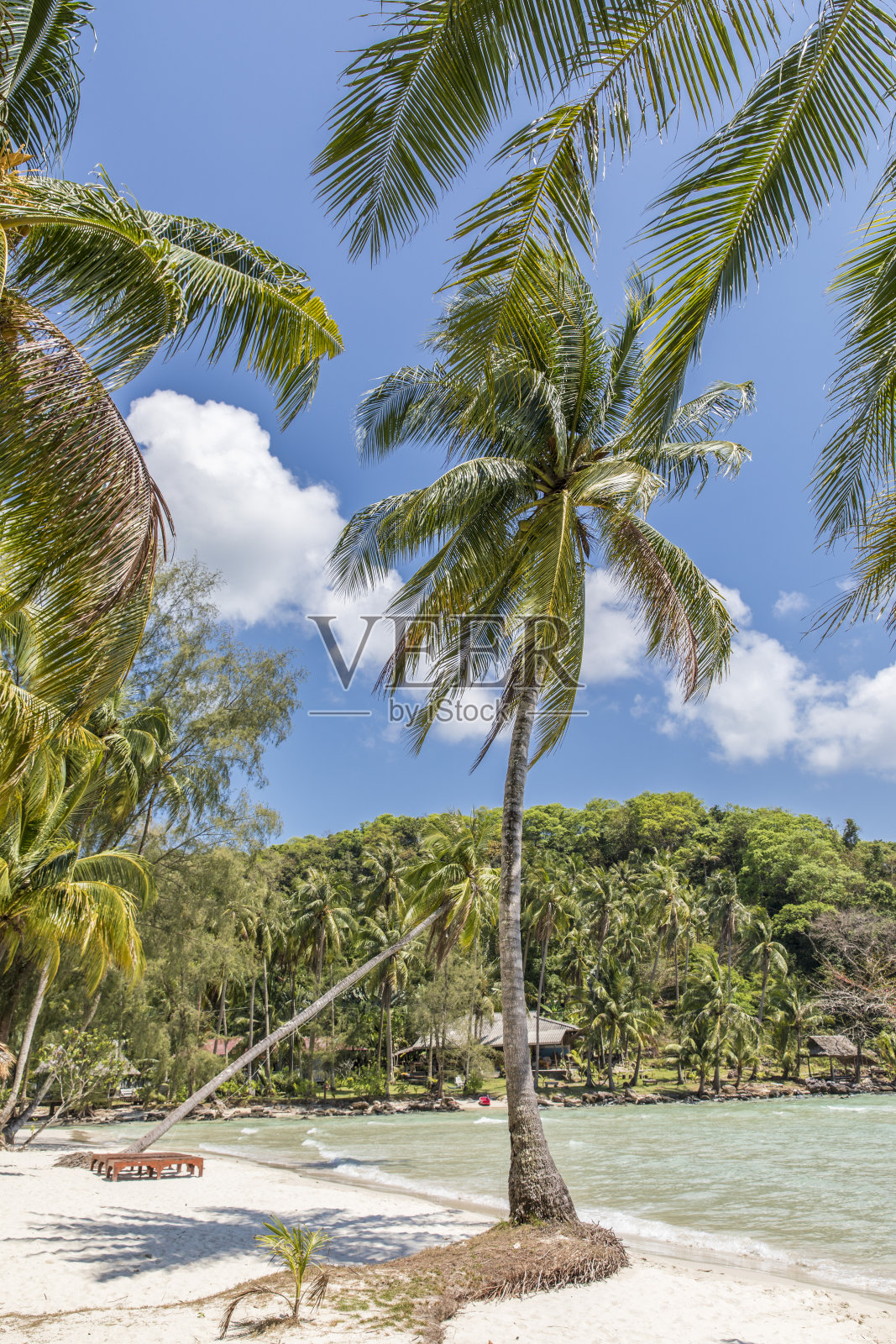 科编码照片摄影图片