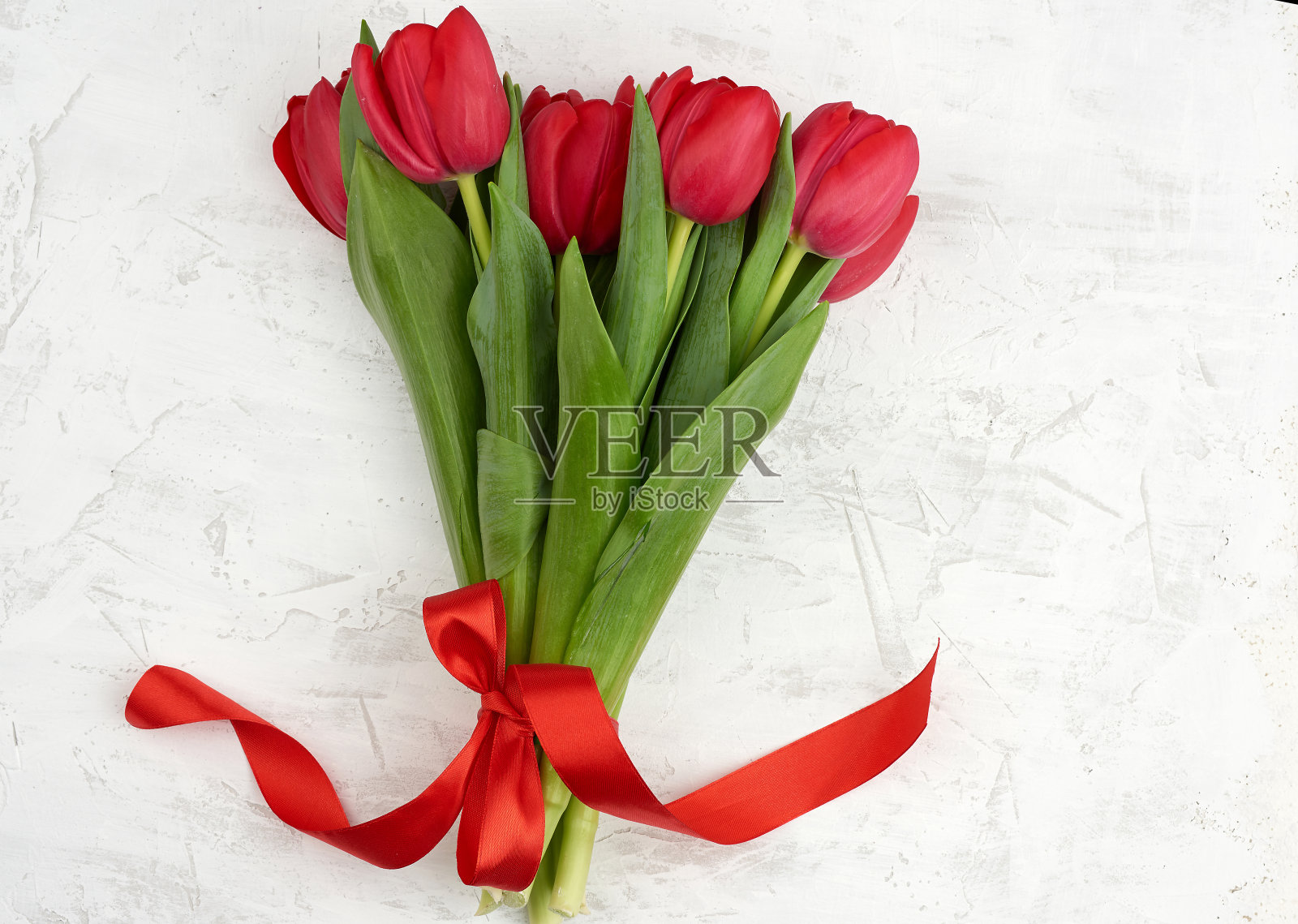 一束红色盛开的郁金香，绿色的茎和叶，在白色的水泥背景照片摄影图片