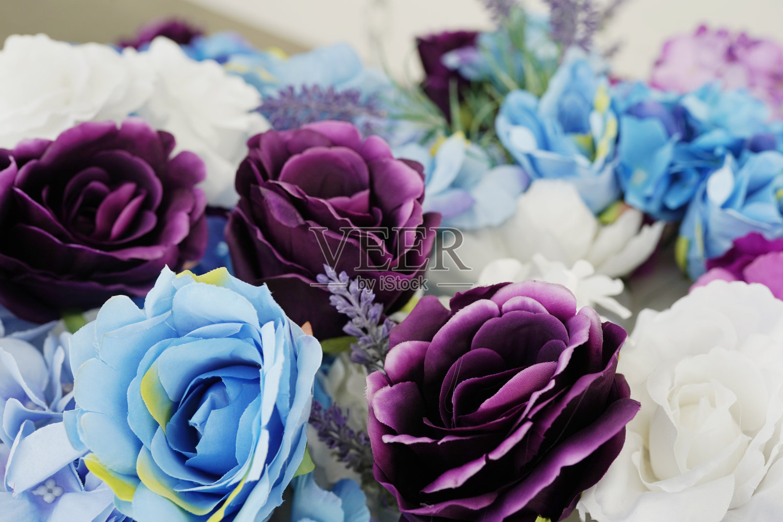 近距离聚焦粉红色、紫色、白色和蓝色盛开的春天花朵照片摄影图片