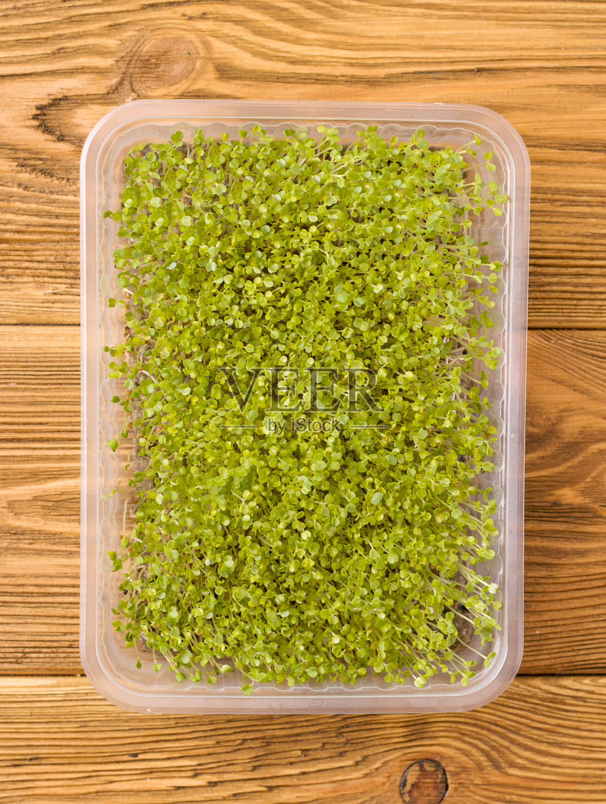 超级食品微绿色容器照片摄影图片