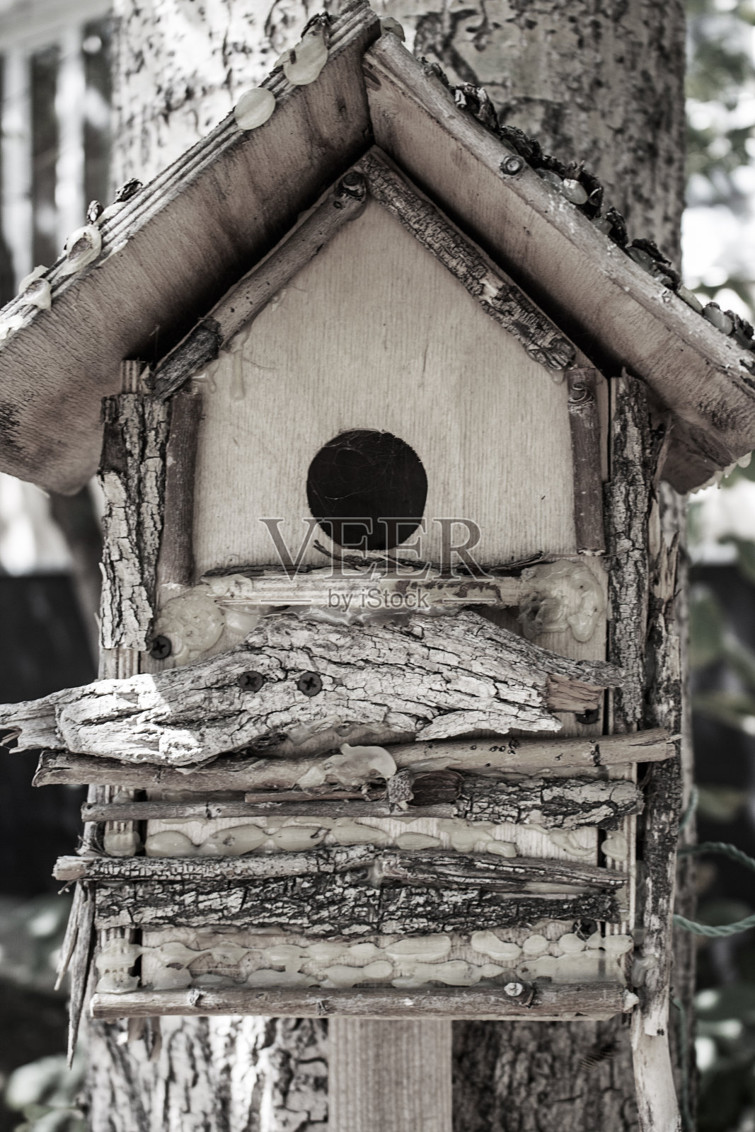 木鸟笼挂在树上。垂直照片,木工照片摄影图片