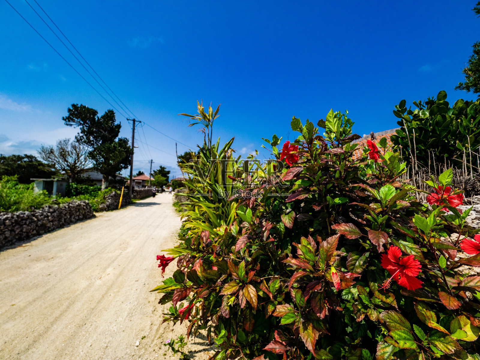 竹富岛的白色沙滩和蓝色天空照片摄影图片