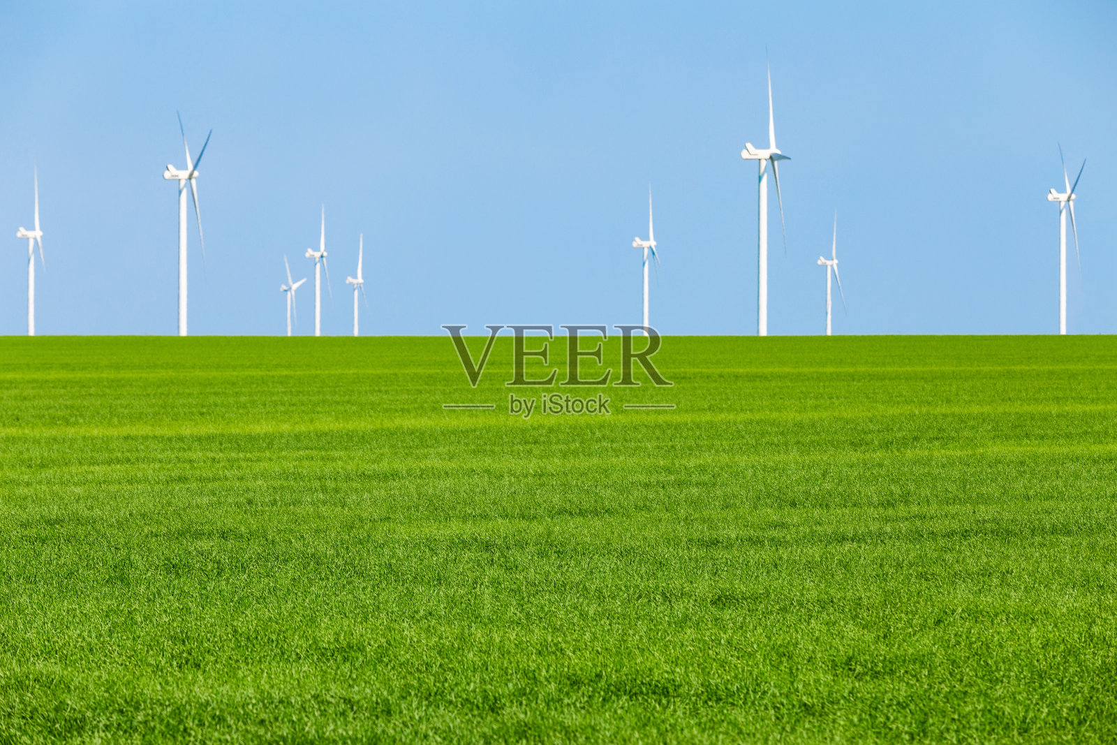 亮绿色的草和蓝色的天空。自然保护的概念照片摄影图片