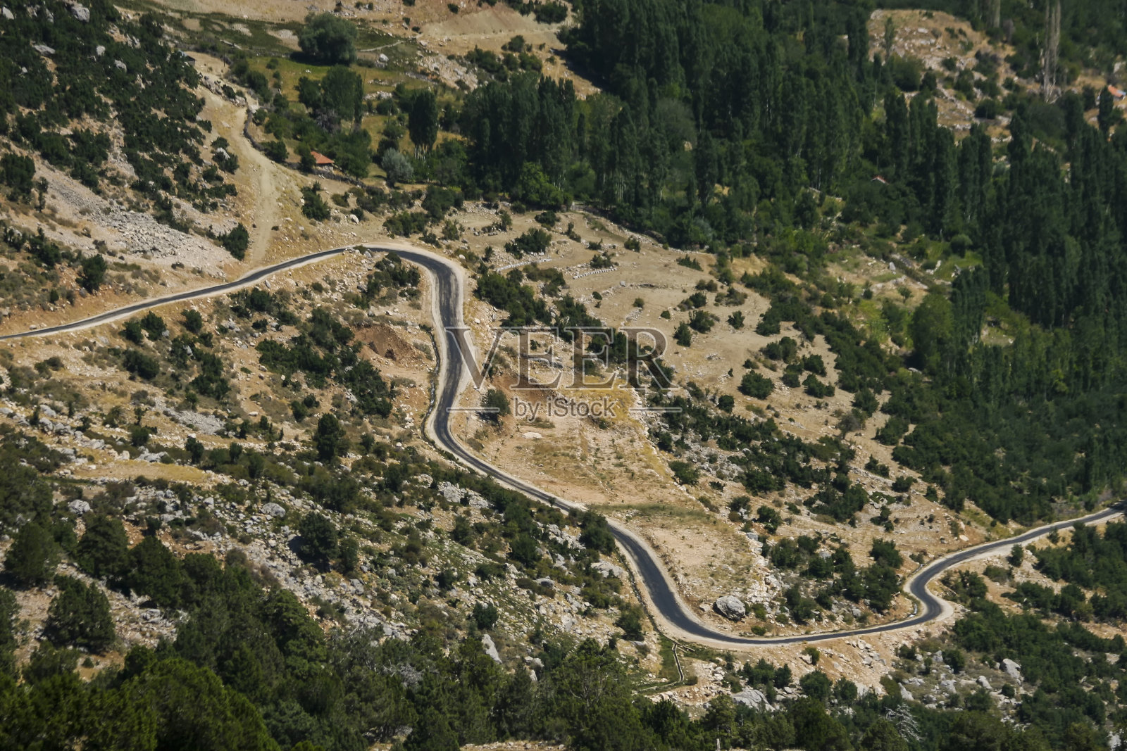铺好的路穿过绿树成荫的山谷照片摄影图片