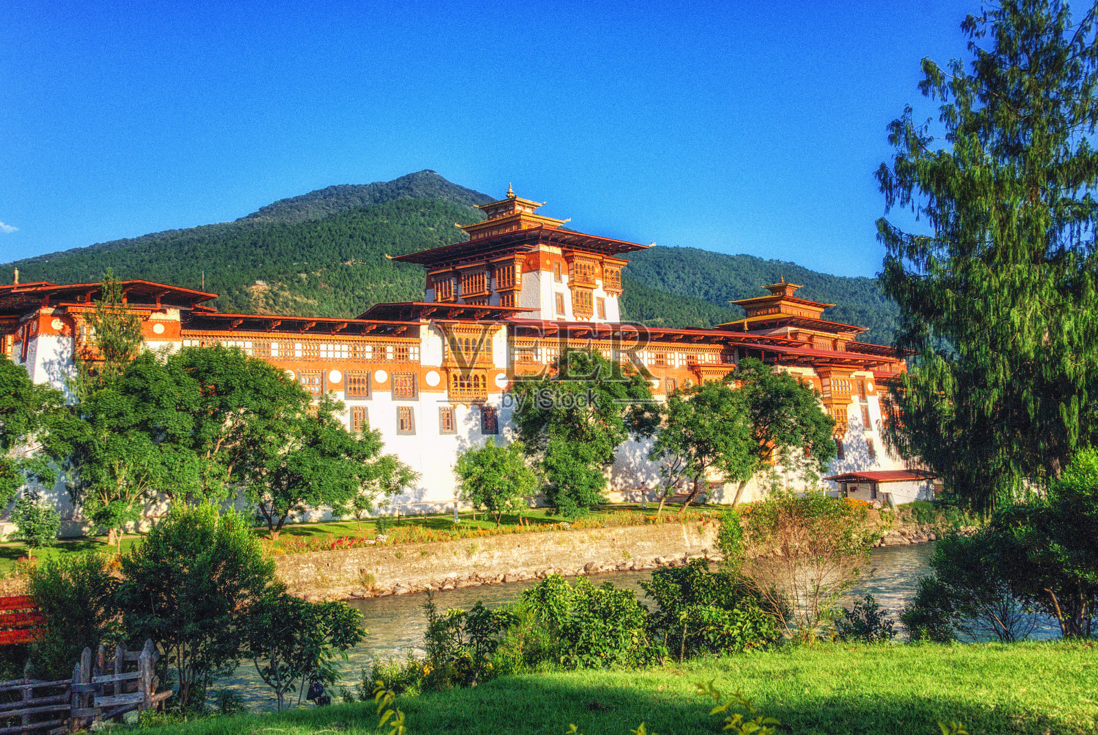 普那卡宗庙，亚洲最大的寺院之一照片摄影图片