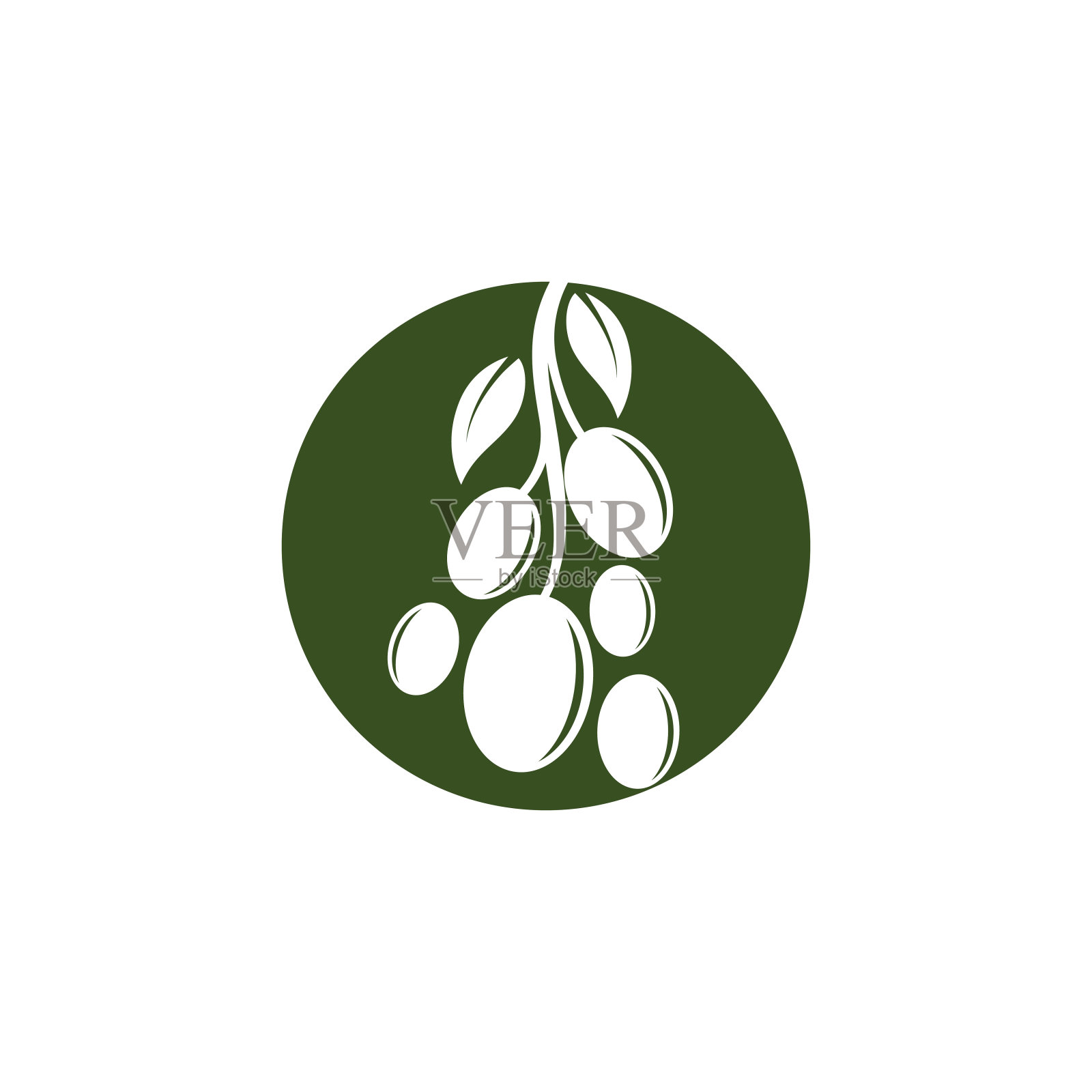 橄榄色标识矢量模板设计插画图片素材