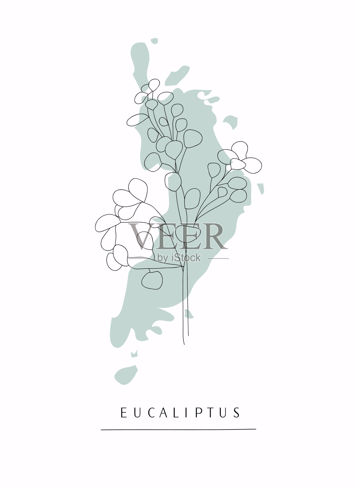 桉树分支。手绘植物线艺术插图。画线。插画图片素材