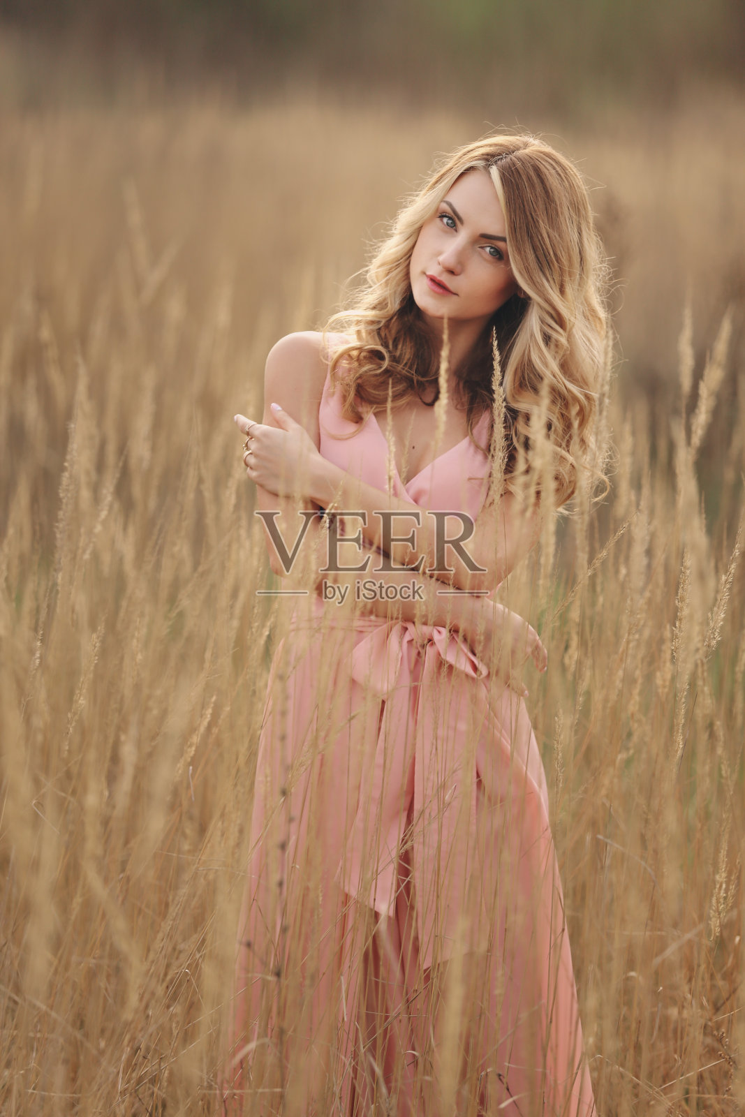 草地上的年轻时尚女子肖像：金发碧眼，身穿粉色连衣裙照片摄影图片