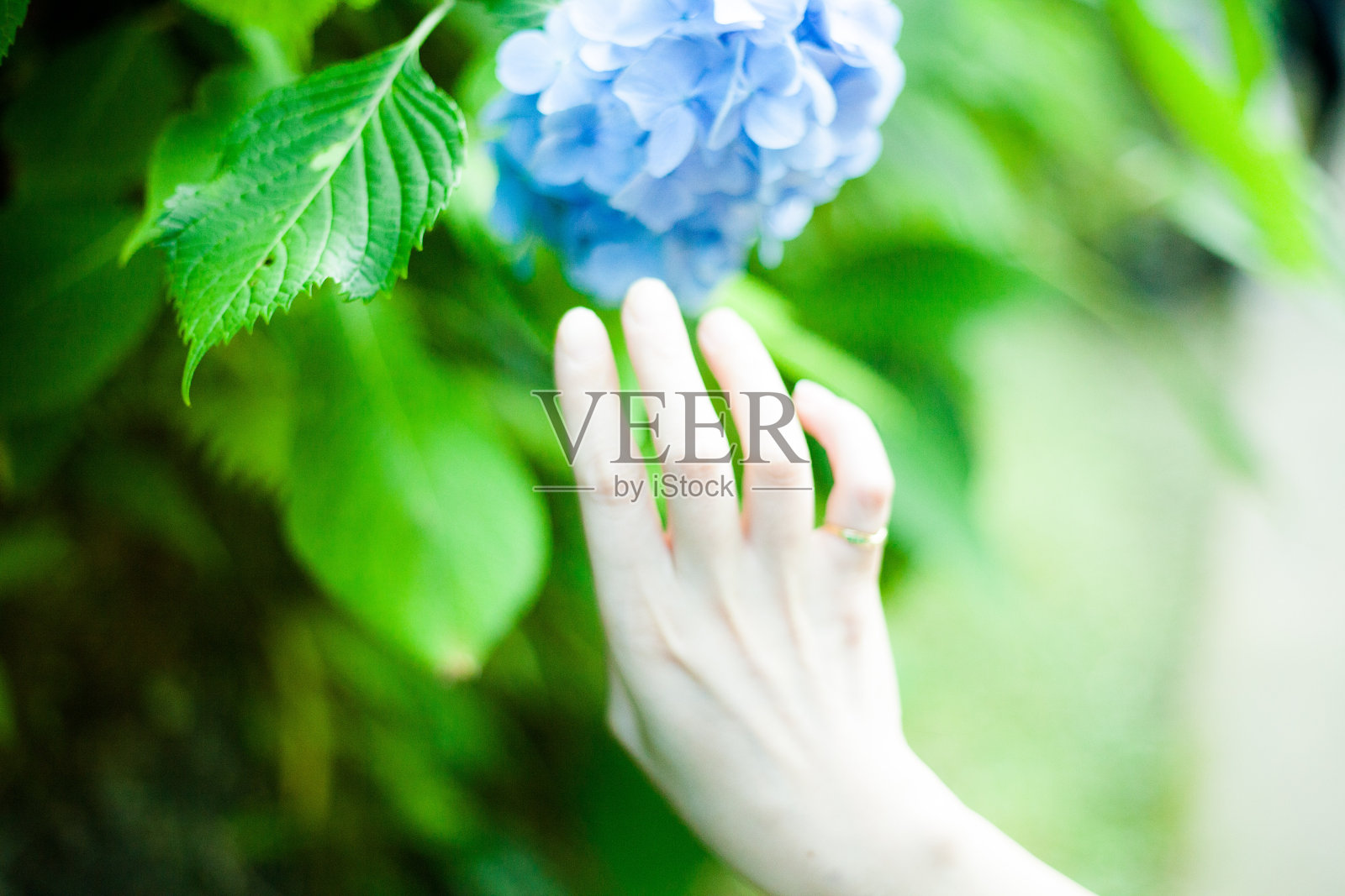 治疗水晶石头照片摄影图片