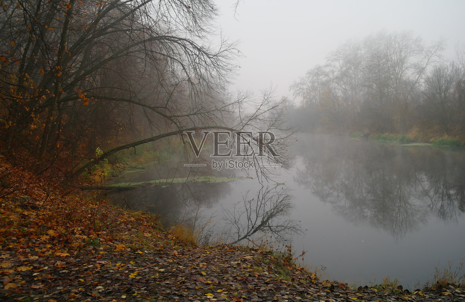 河景秋木照片摄影图片