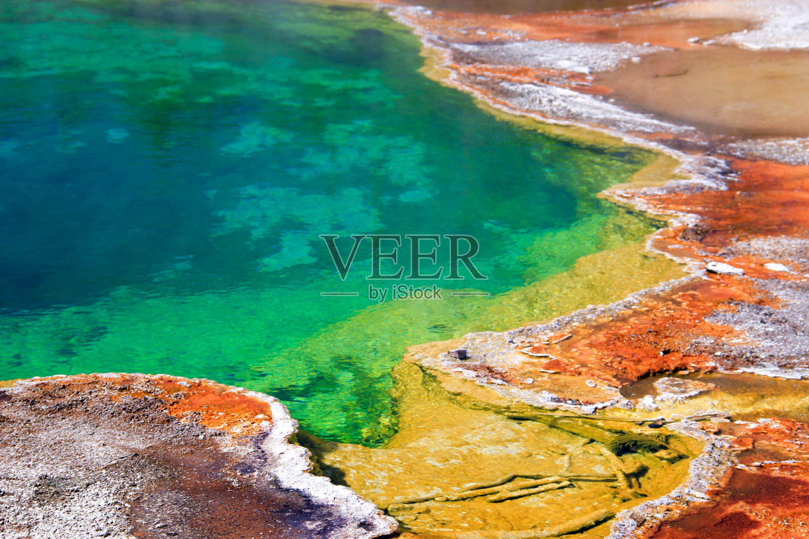 彩虹颜色的大棱镜春天特写，黄石国家公园，怀俄明州，美国照片摄影图片