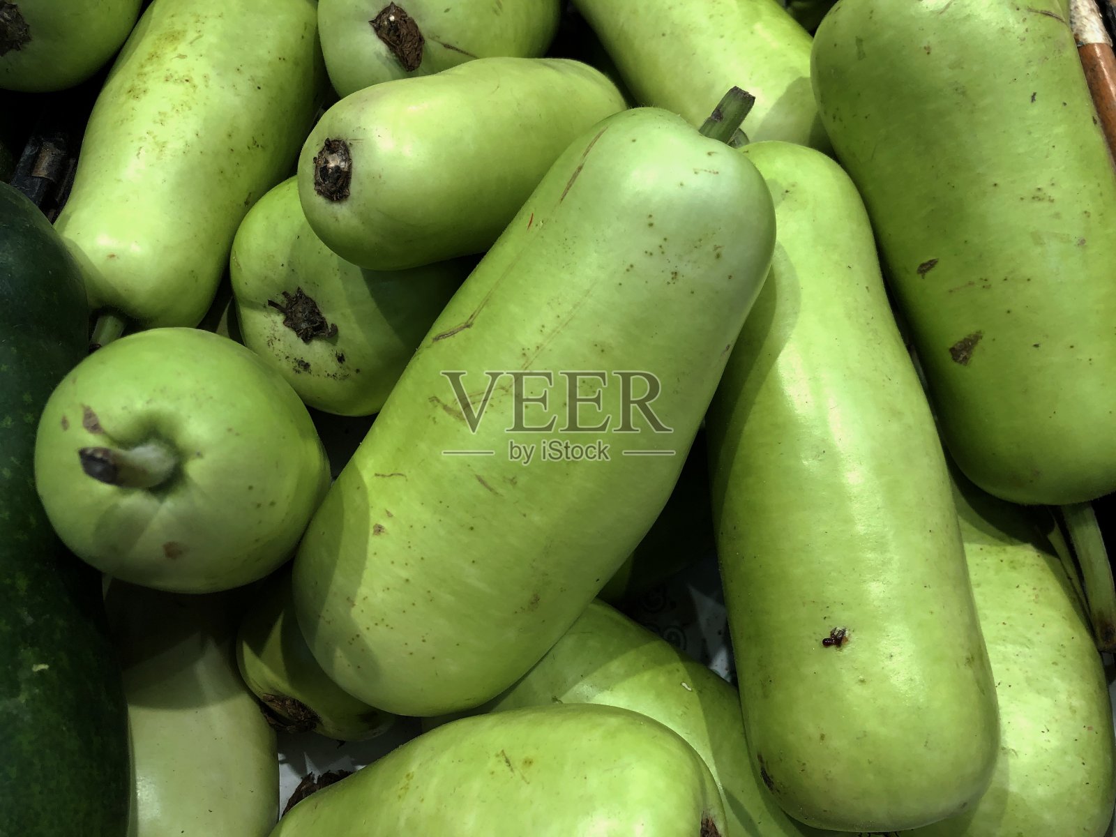 在一家杂货店的生鲜区展示的绿葫芦。照片摄影图片