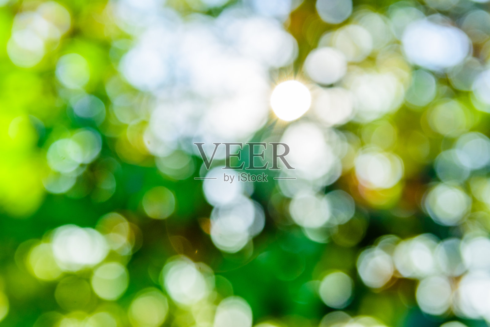 抽象和散焦散焦背景。生态的概念照片摄影图片