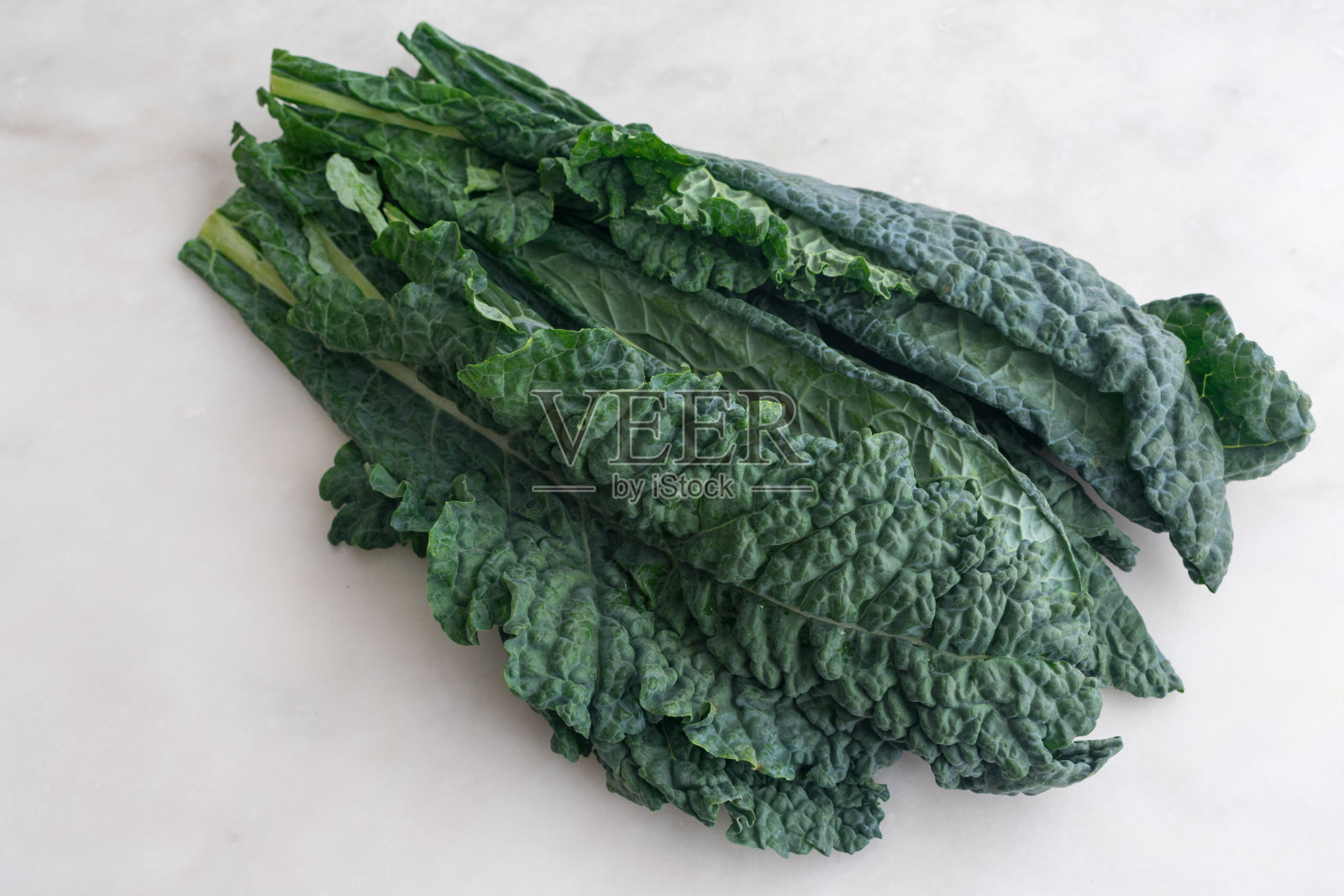 Lacinato羽衣甘蓝叶白色大理石背景照片摄影图片