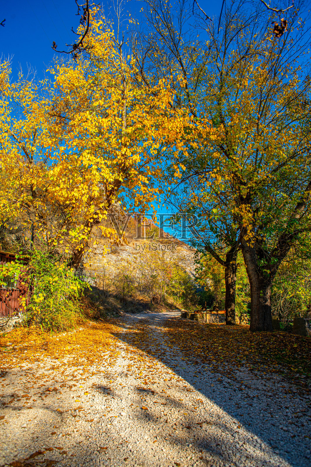 这是一幅在河边被森林包围的秋景照片摄影图片