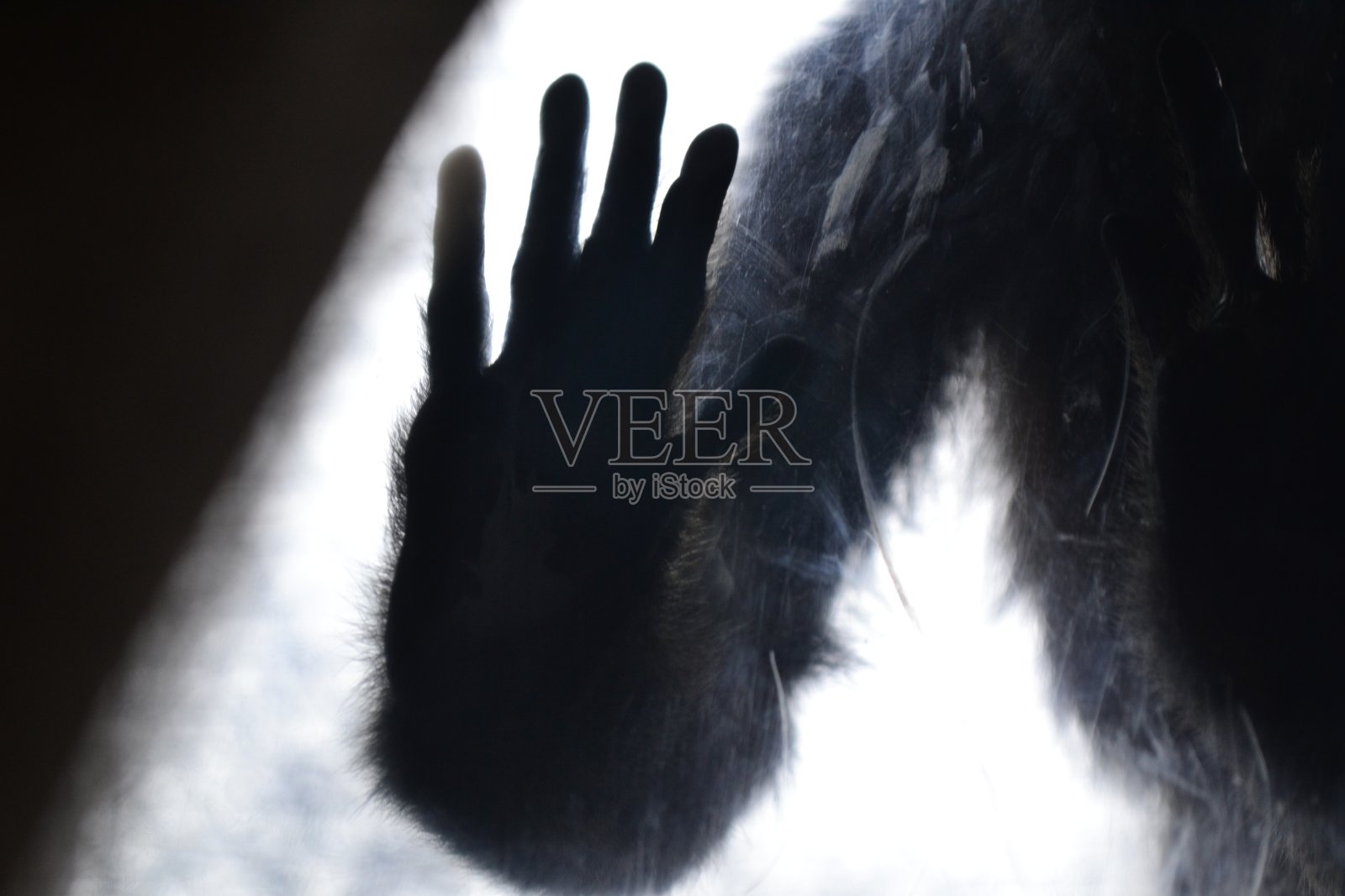 剪影爱人生幸福情怀照片摄影图片