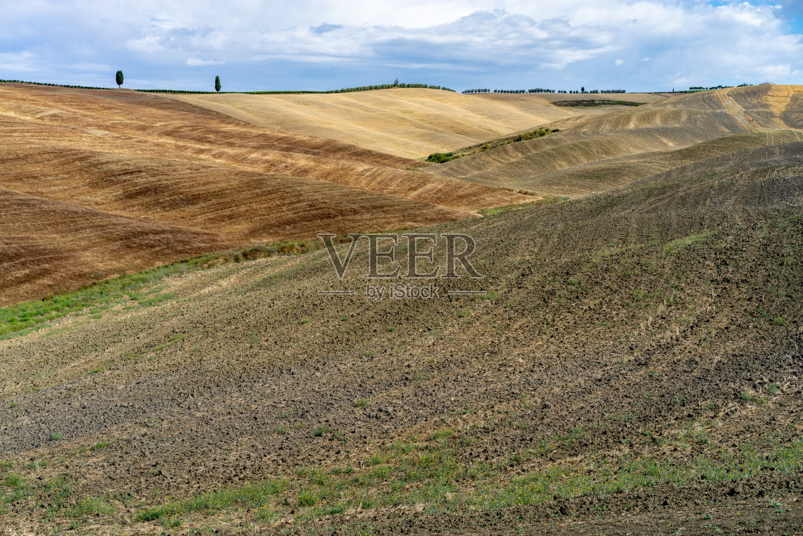 托斯卡纳的田野，柏树和山在仲夏照片摄影图片