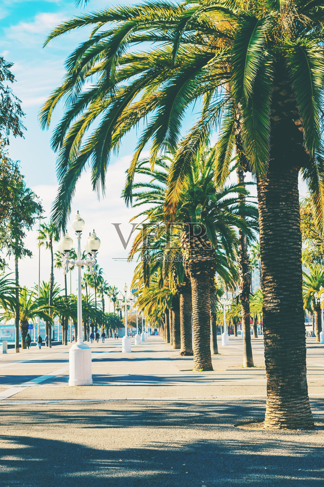 巴塞罗那城市漫步，选择性聚焦照片摄影图片