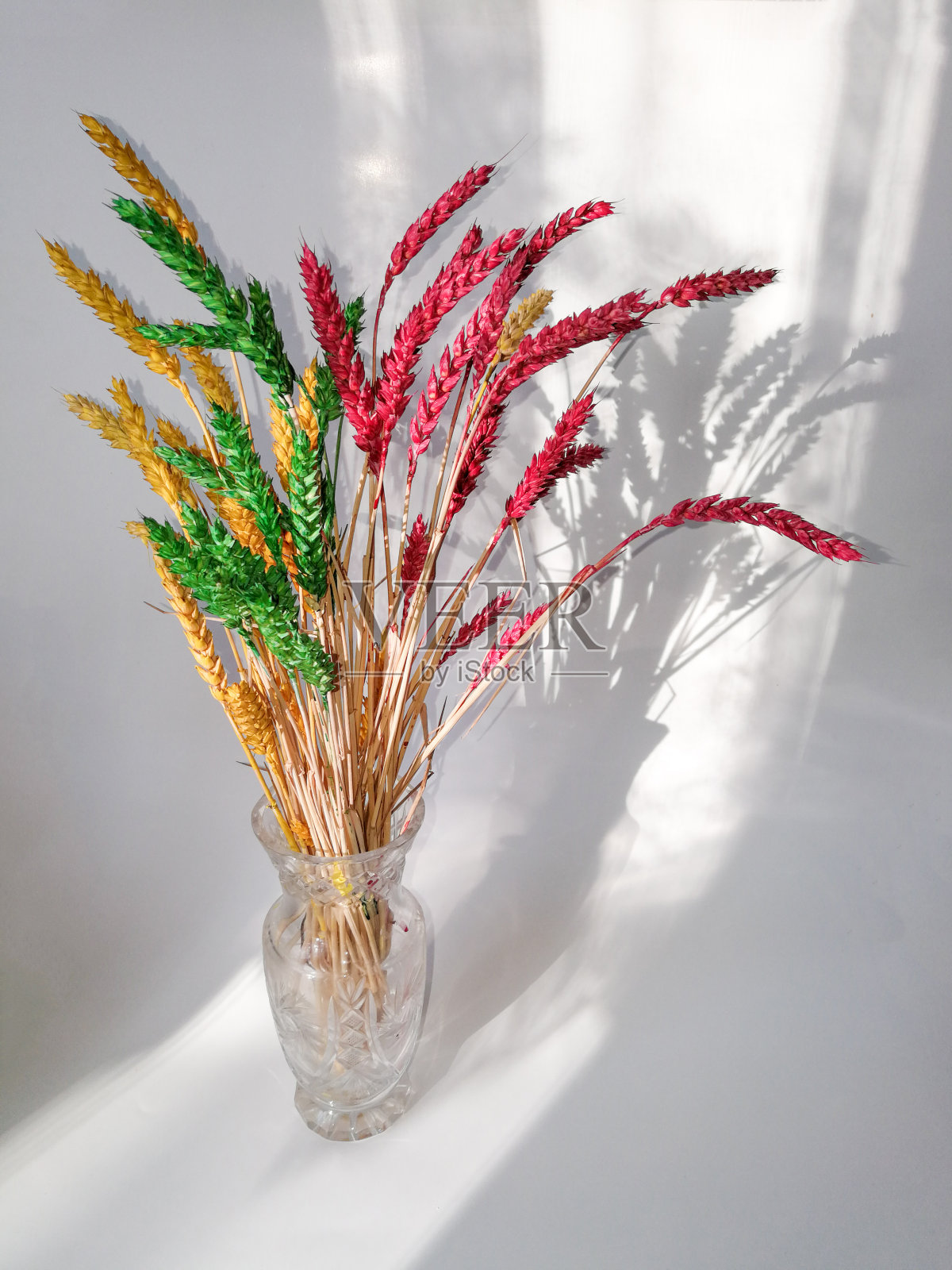 一束用立陶宛国旗颜色绘制的黑麦耳照片摄影图片