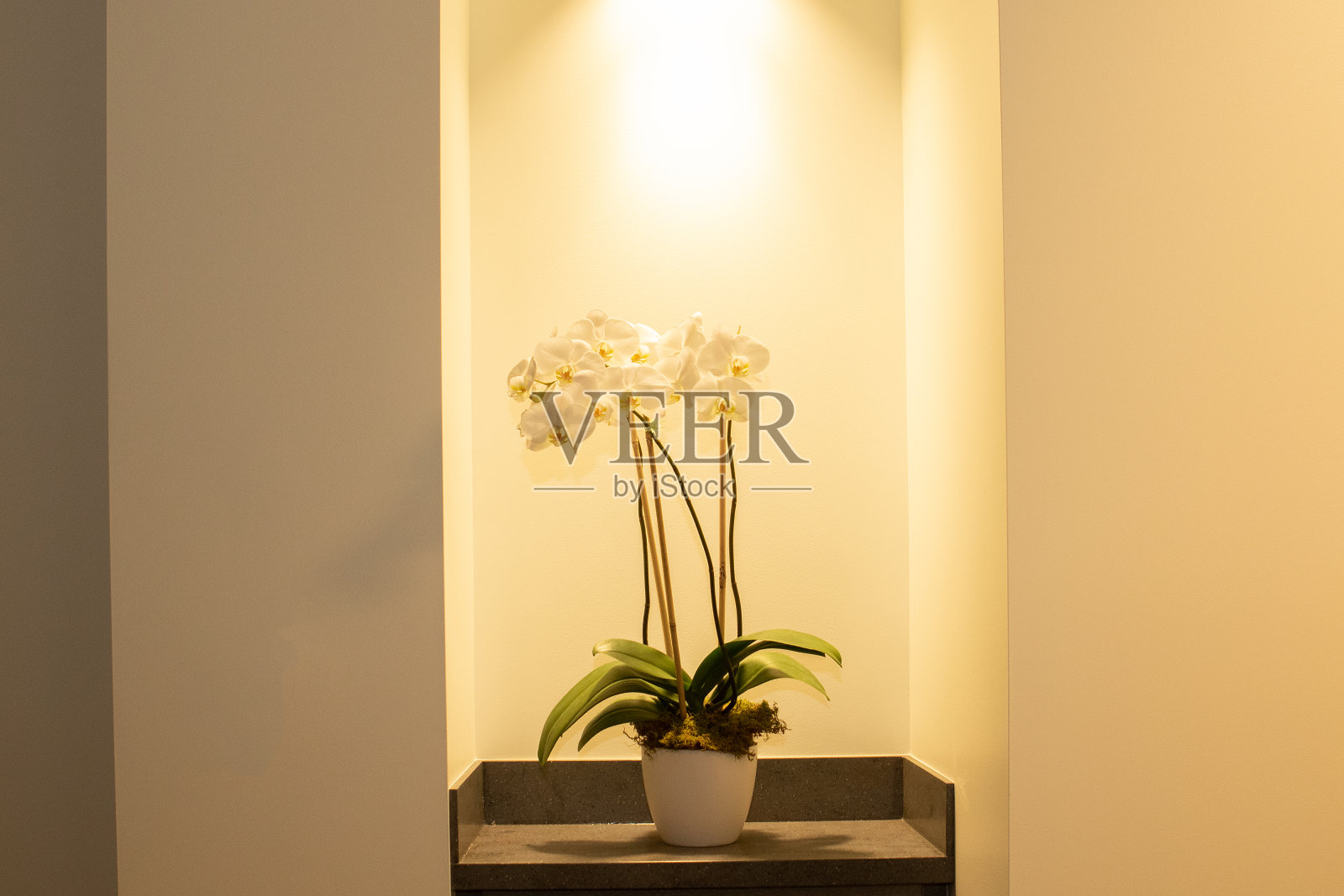 室内设计照片摄影图片