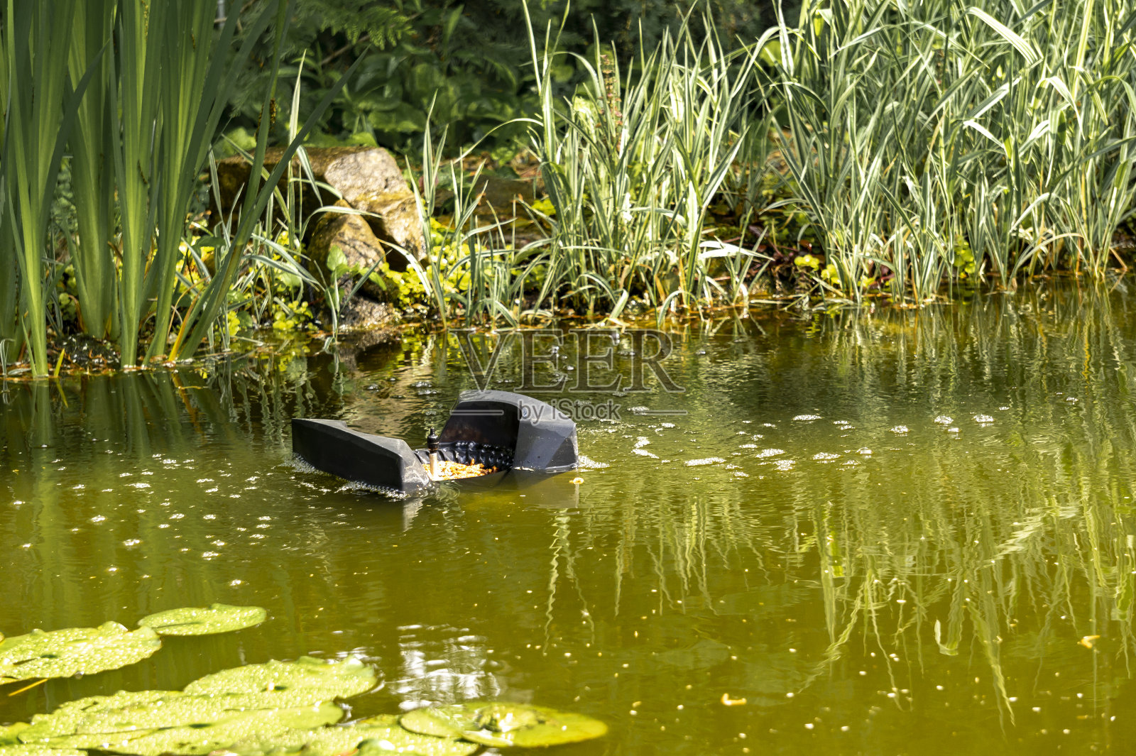 浮在水面上，收集水面上的叶子和污垢。照片摄影图片