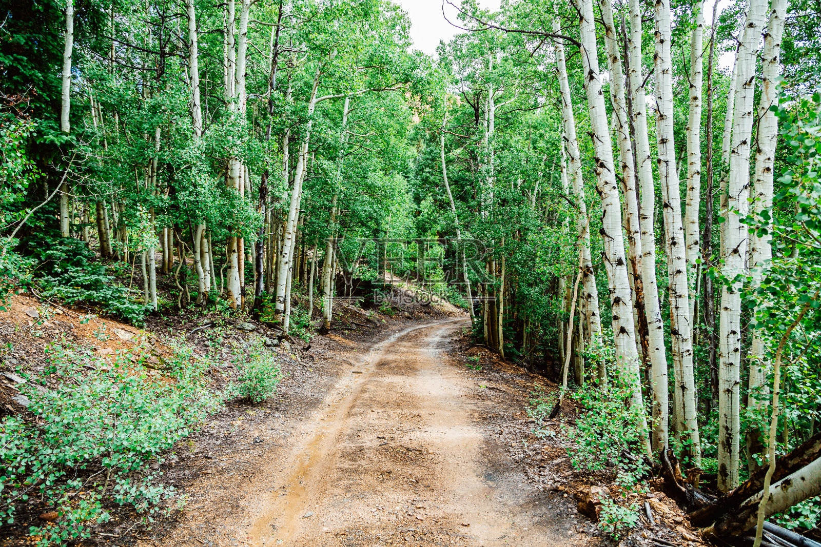 蜿蜒的土路周围的杨基男孩盆地在南科罗拉多州附近的特柳赖德，奥雷，和西弗顿在夏末的下午照片摄影图片