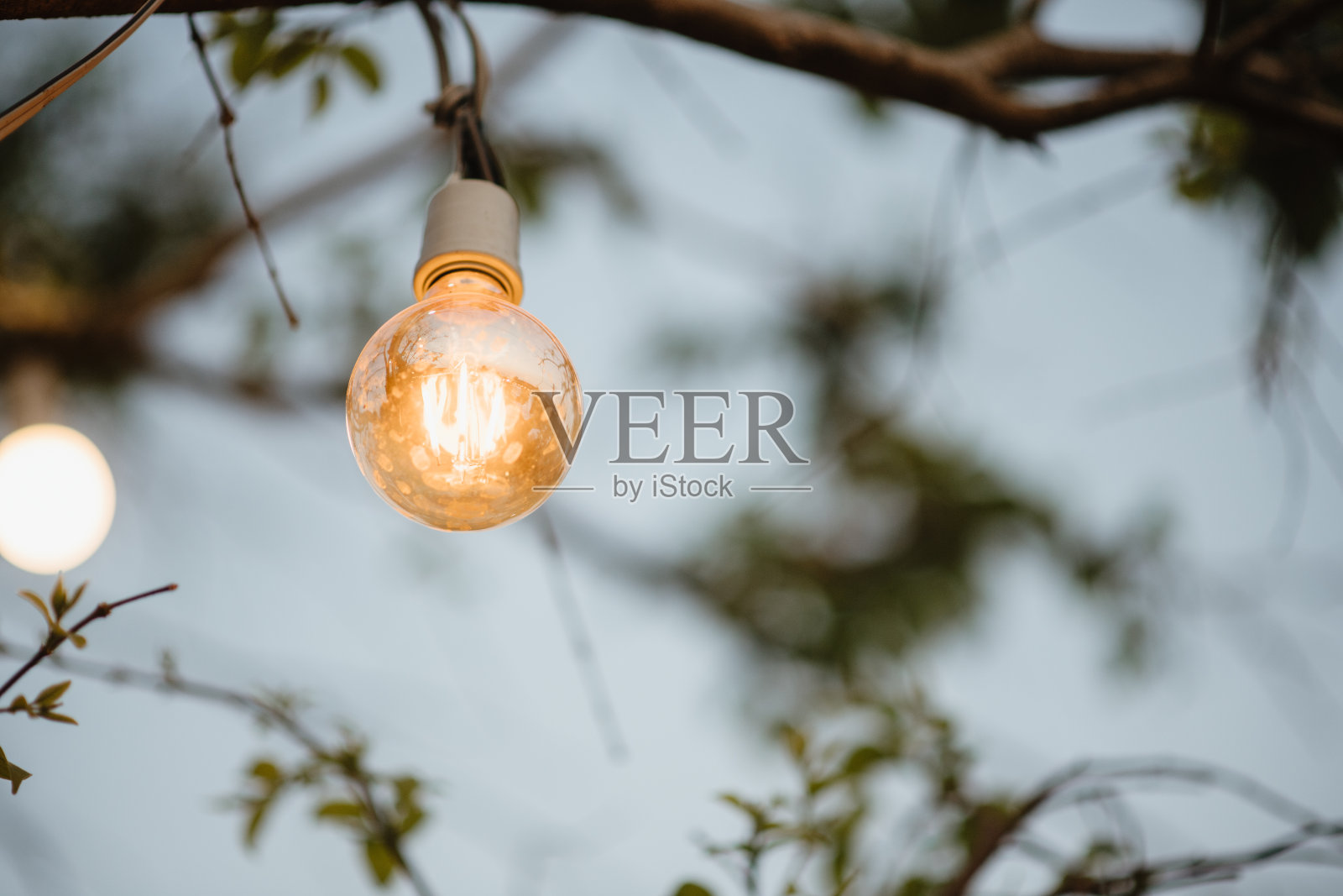 复古灯装饰婚礼照片摄影图片