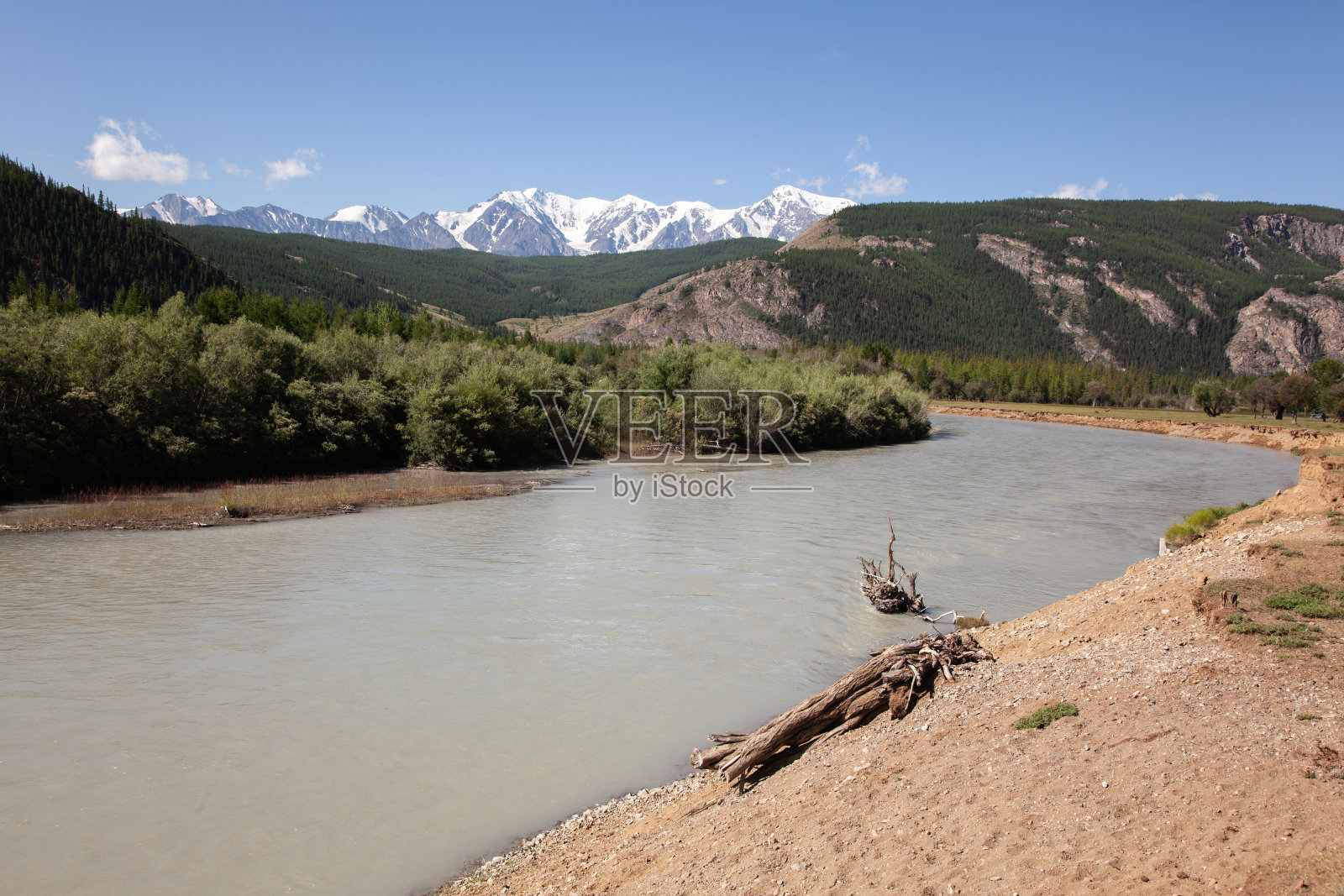 阿尔泰山和河流森林照片摄影图片