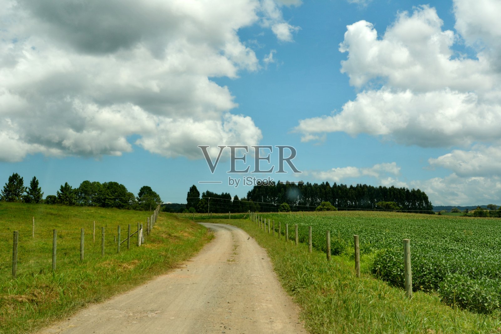 坎波阿雷格里景观照片摄影图片