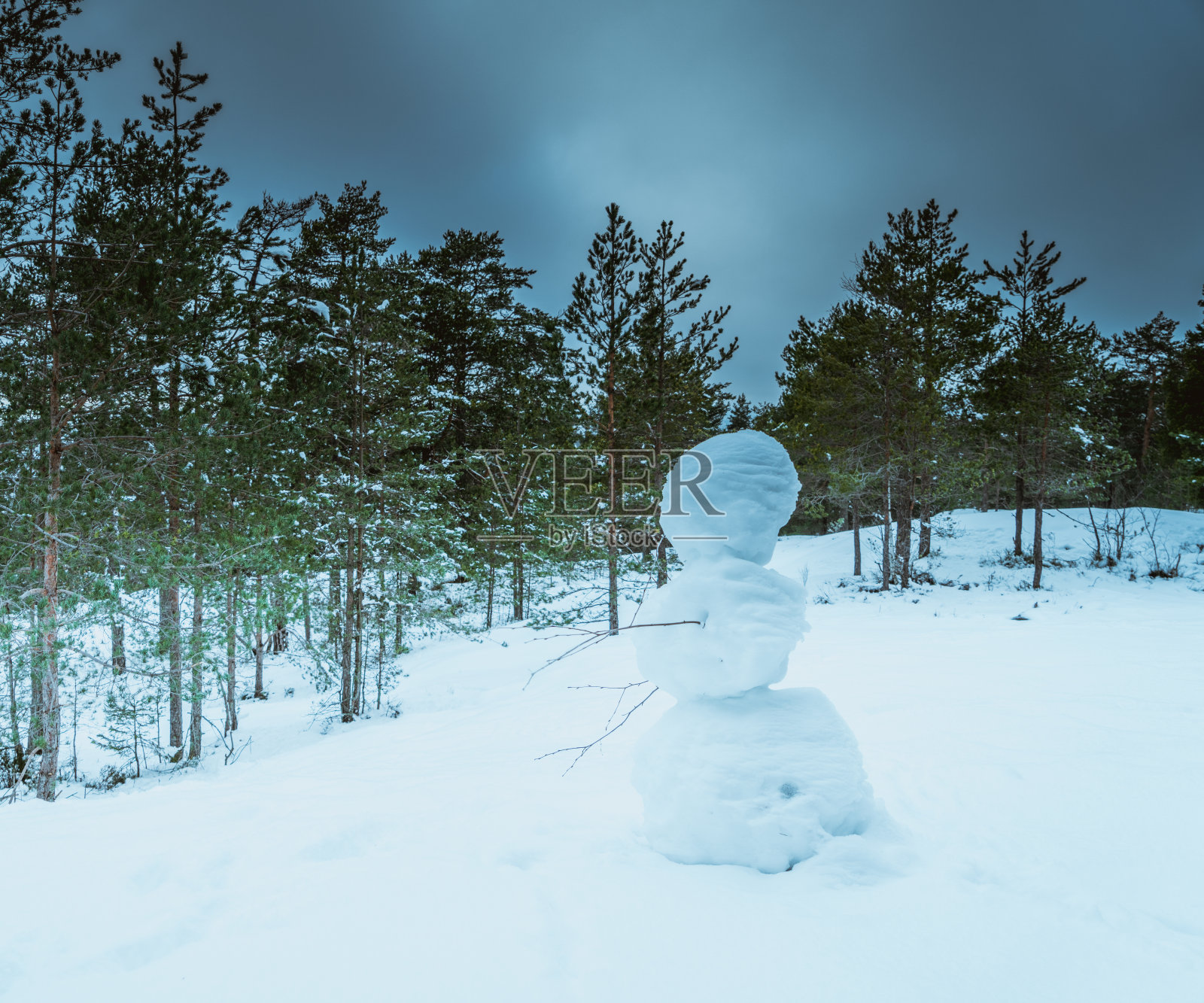 冬季斯堪的纳维亚森林降雪后的一个晴朗的日子照片摄影图片