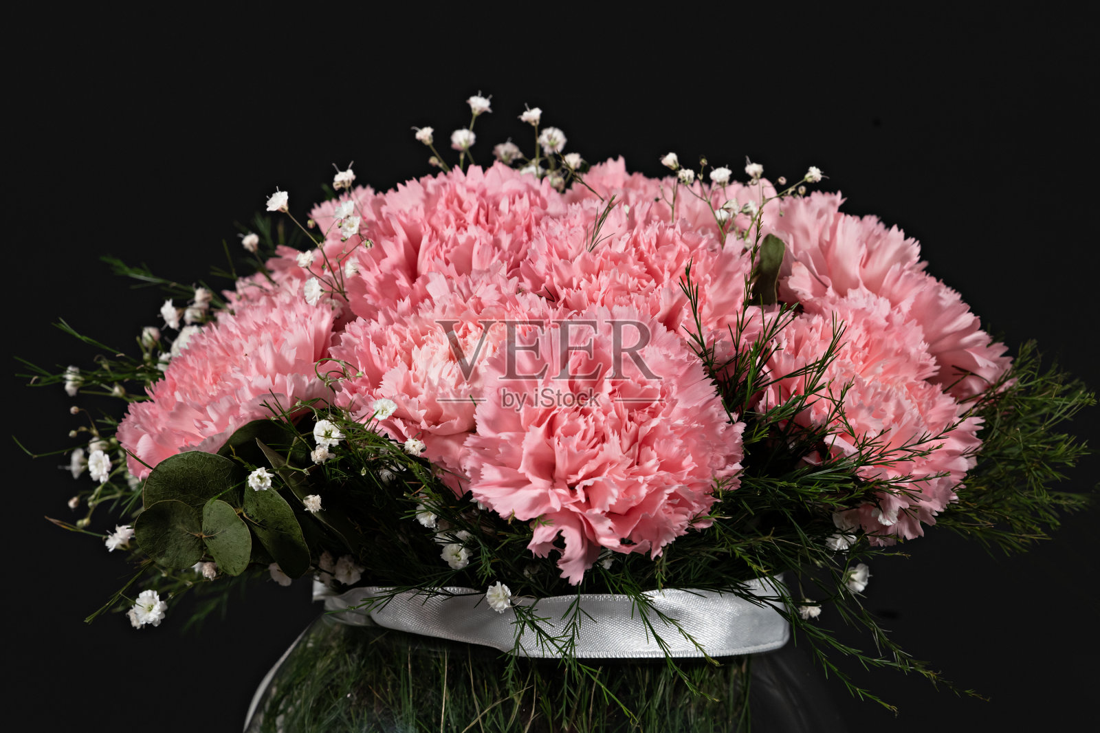 粉色康乃馨桶装玻璃花瓶，黑色背景照片摄影图片