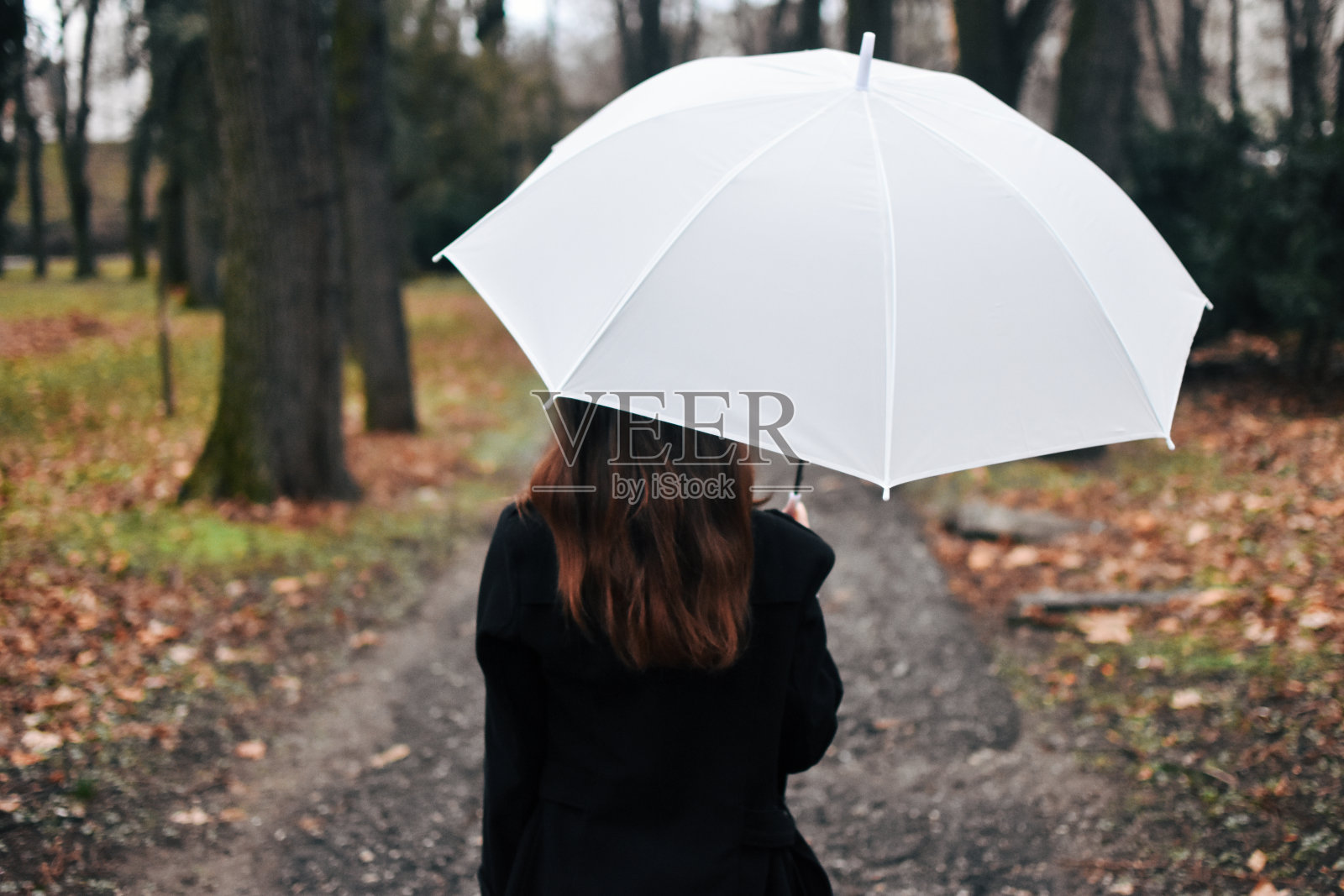 雨天照片摄影图片