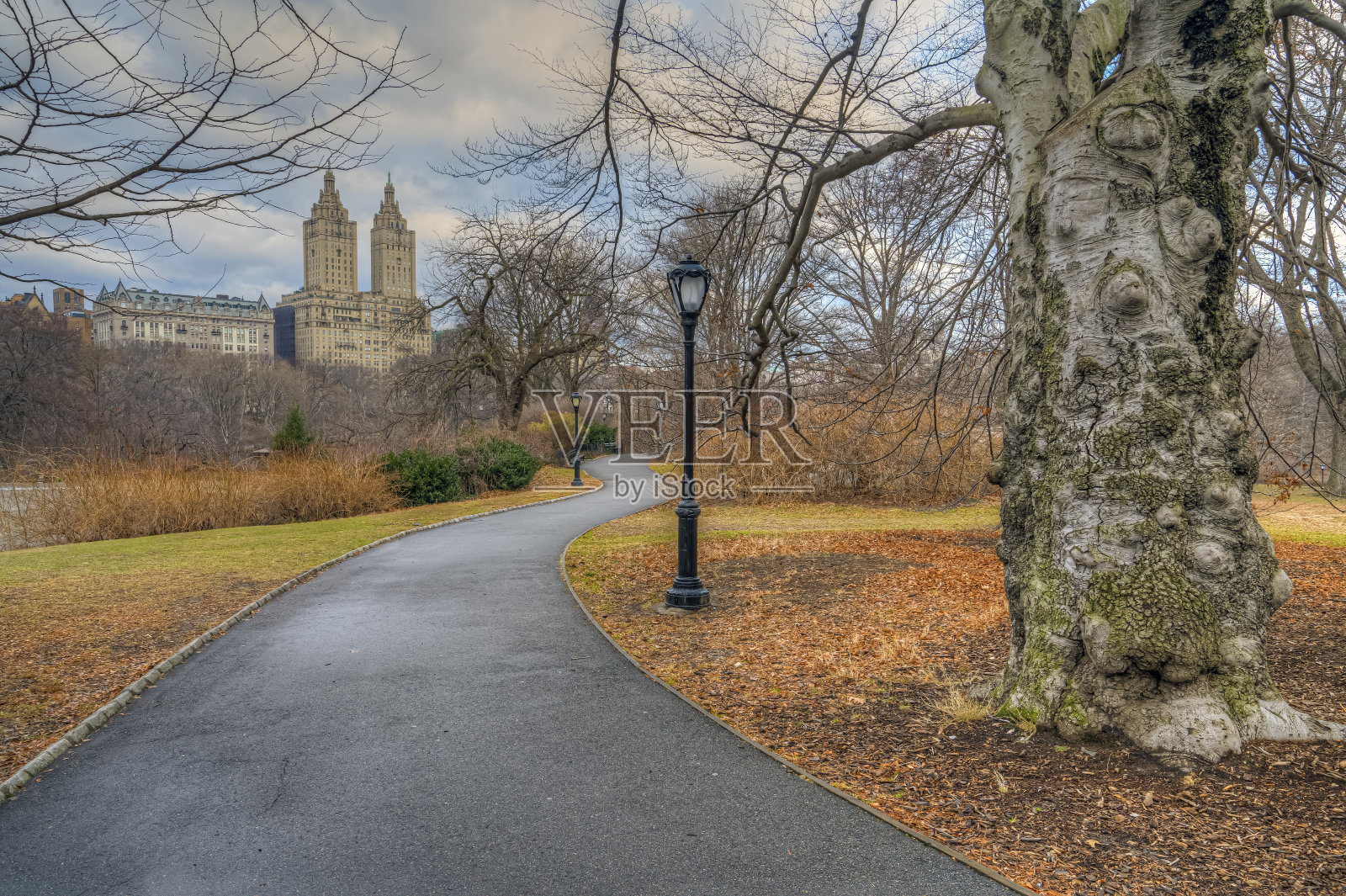 冬天的中央公园照片摄影图片