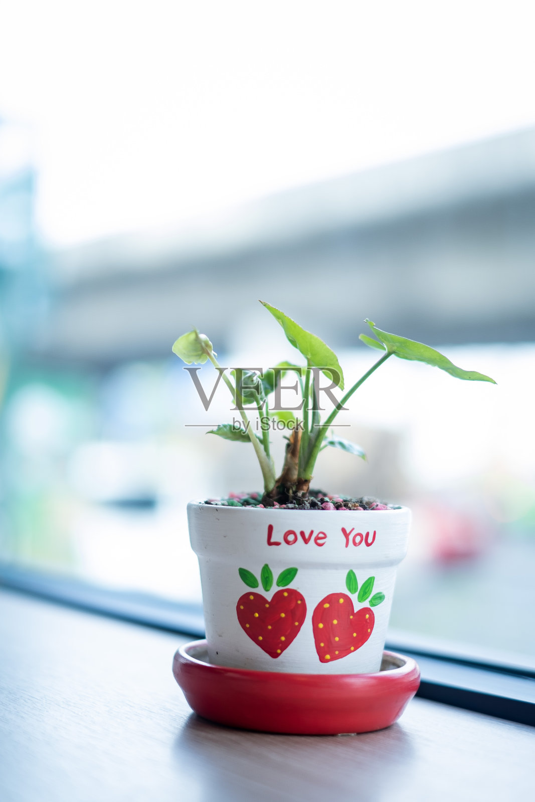 咖啡店木桌上的小花盆装饰。有植物的感觉很新鲜。照片摄影图片