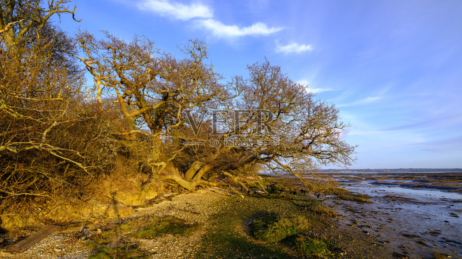 勒佩比留河岸边的日落，树木和小丘扭曲照片摄影图片