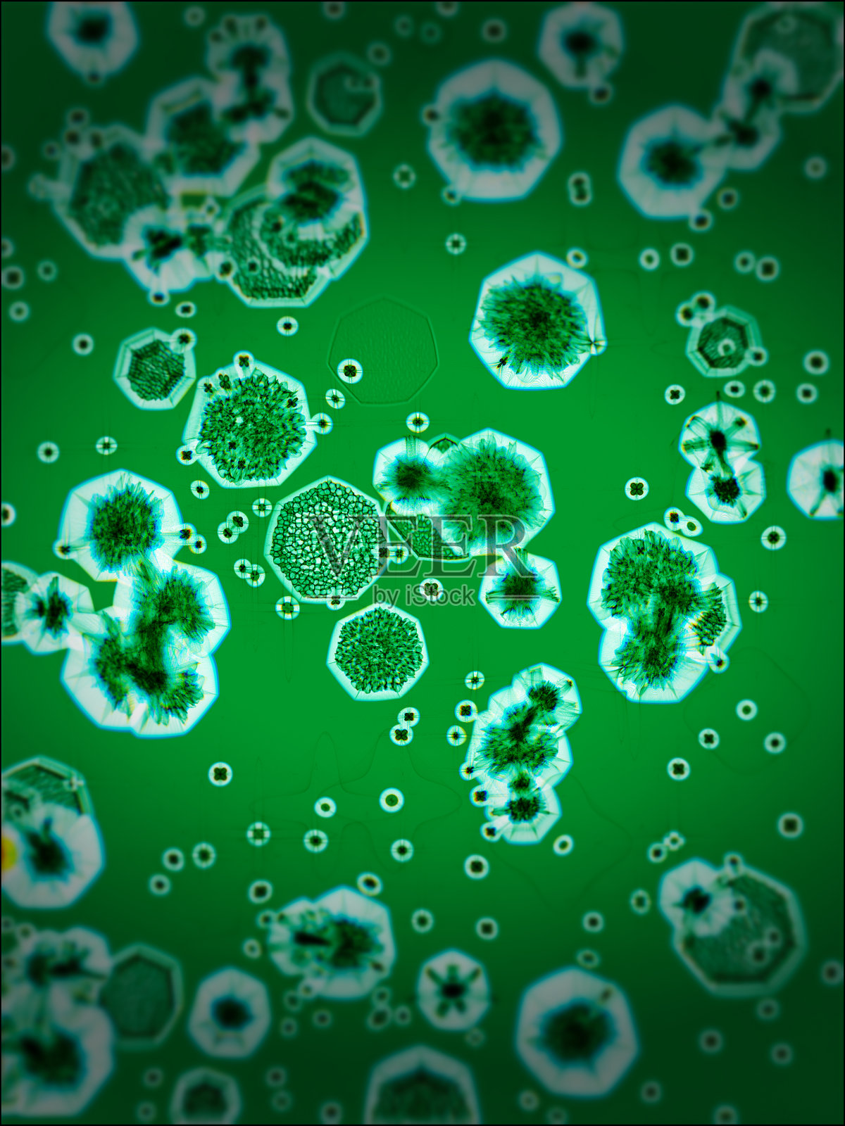 抽象的病毒照片摄影图片