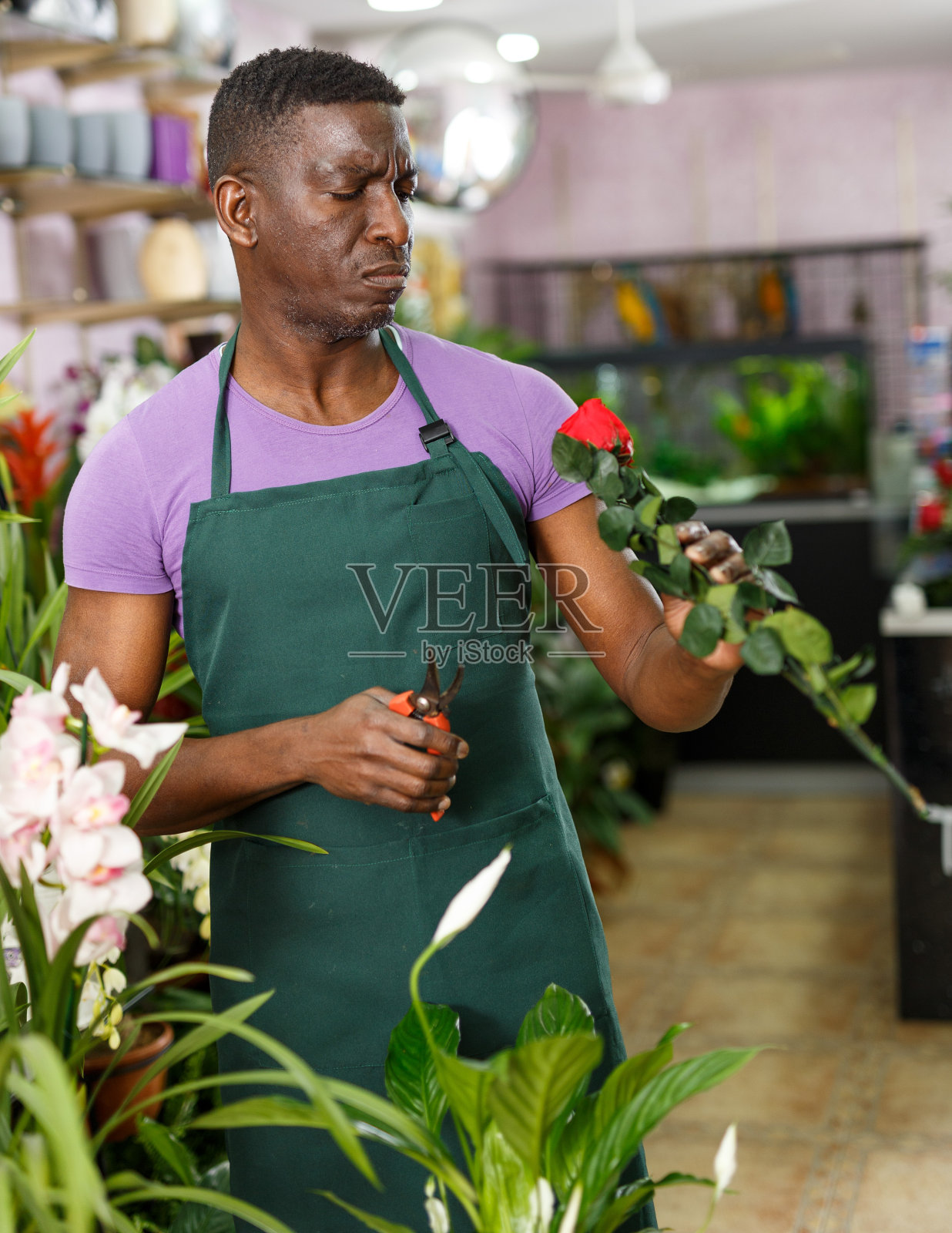 花艺师在花店工作照片摄影图片