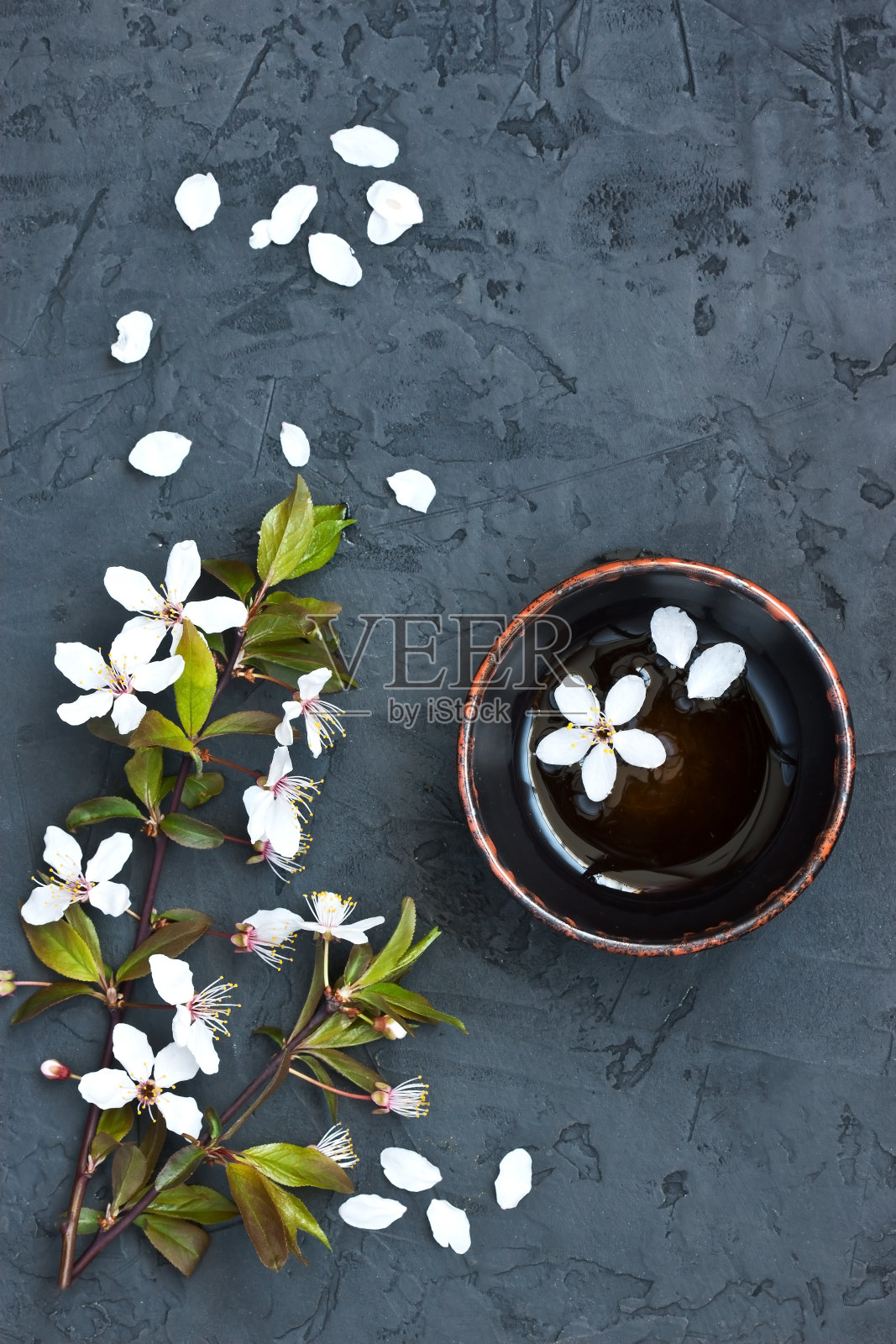 樱花枝照片摄影图片